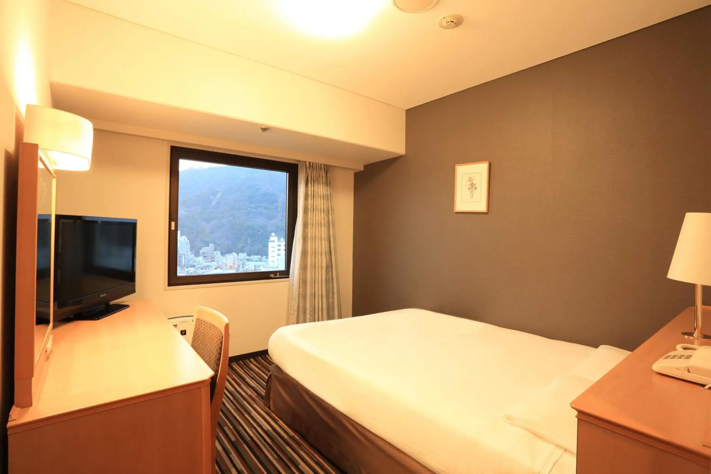 Standard Double Room - single occupancy in Tokushima Tokyu Rei Hotel Standard Double Room - single occupancy in Tokushima Tokyu Rei Hotel