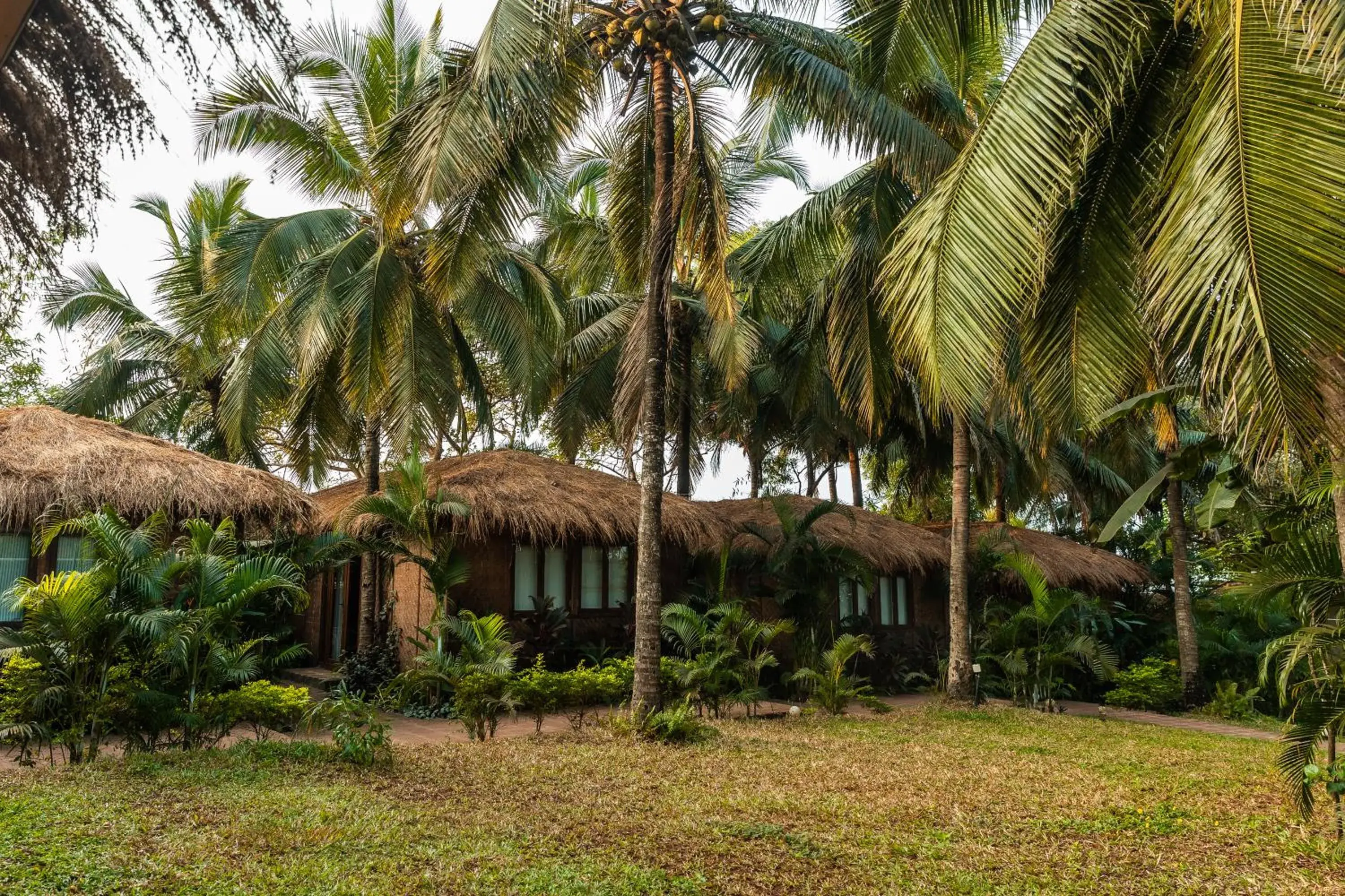 Garden View Cottage in Anahata Retreat Beach Front Ashwem Goa Garden View Cottage in Anahata Retreat Beach Front Ashwem Goa