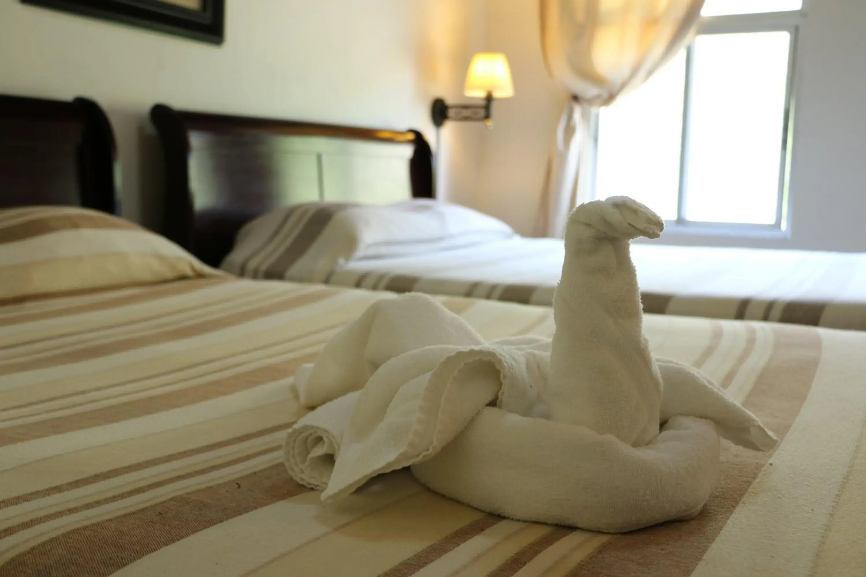 Quadruple Room with Mountain View in Hotel Campestre Quadruple Room with Mountain View in Hotel Campestre