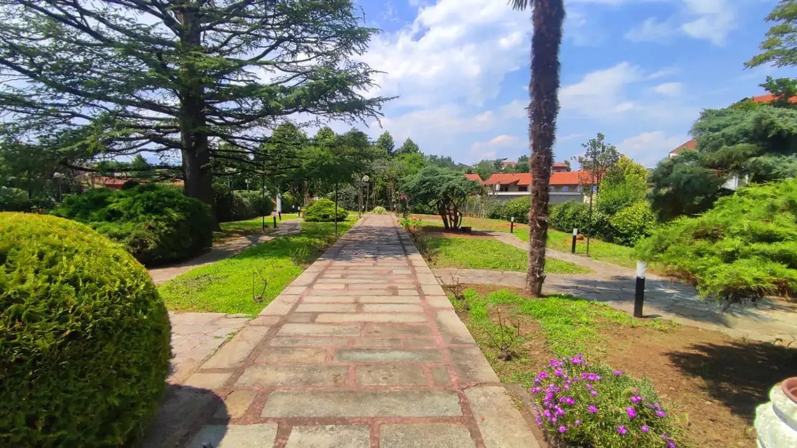 Phi Hotel Homy Druento Phi Hotel Homy Druento