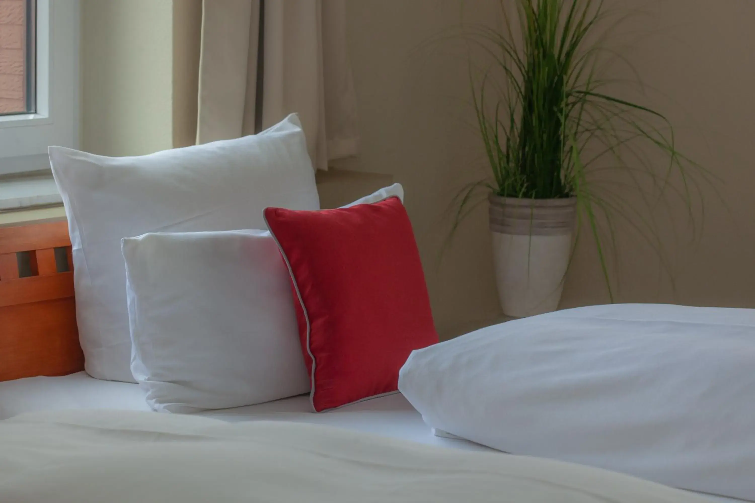 Economy Single Room in Hotel Omega Economy Single Room in Hotel Omega