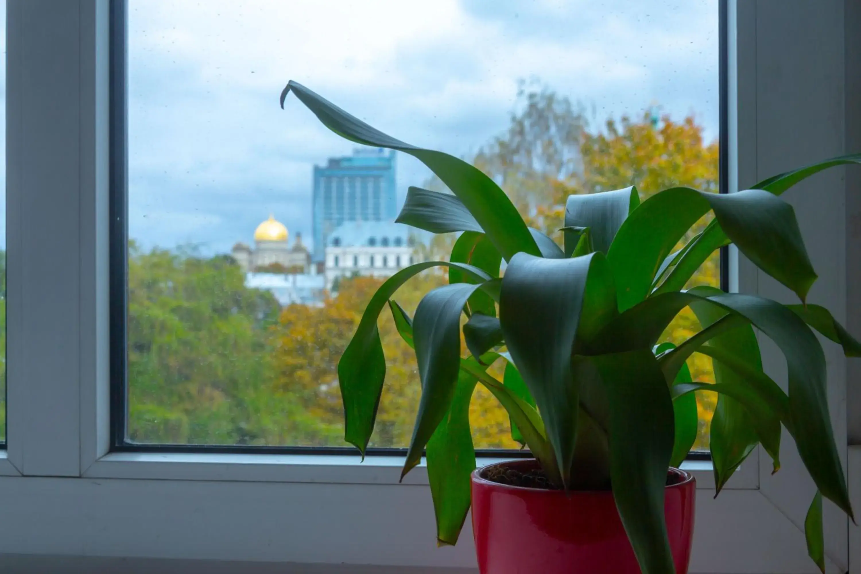Bunk Bed in a 4-Bed Female Dormitory Room in Liberty Airy Bunk Bed in a 4-Bed Female Dormitory Room in Liberty Airy