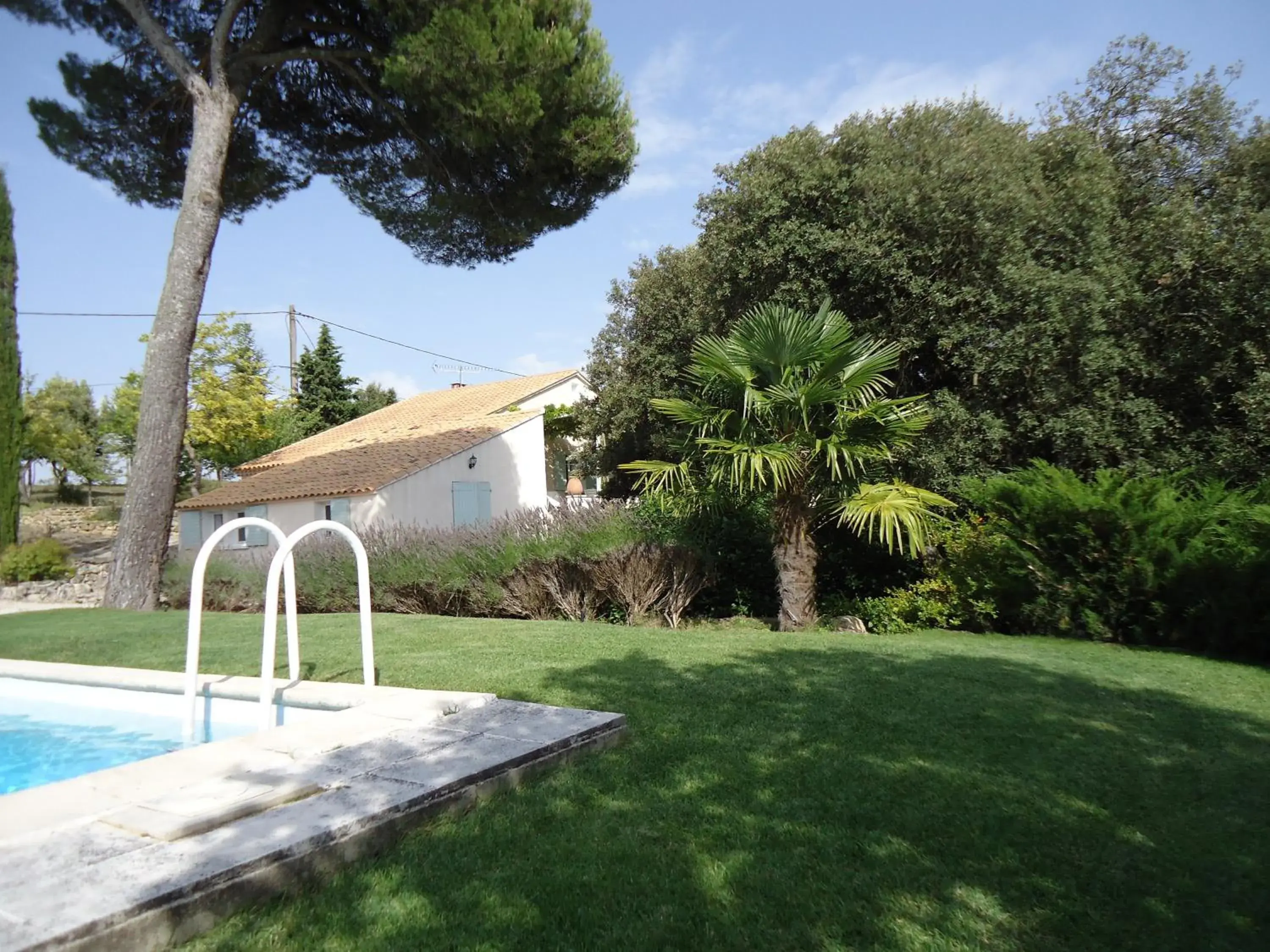 La Tangana La Tangana