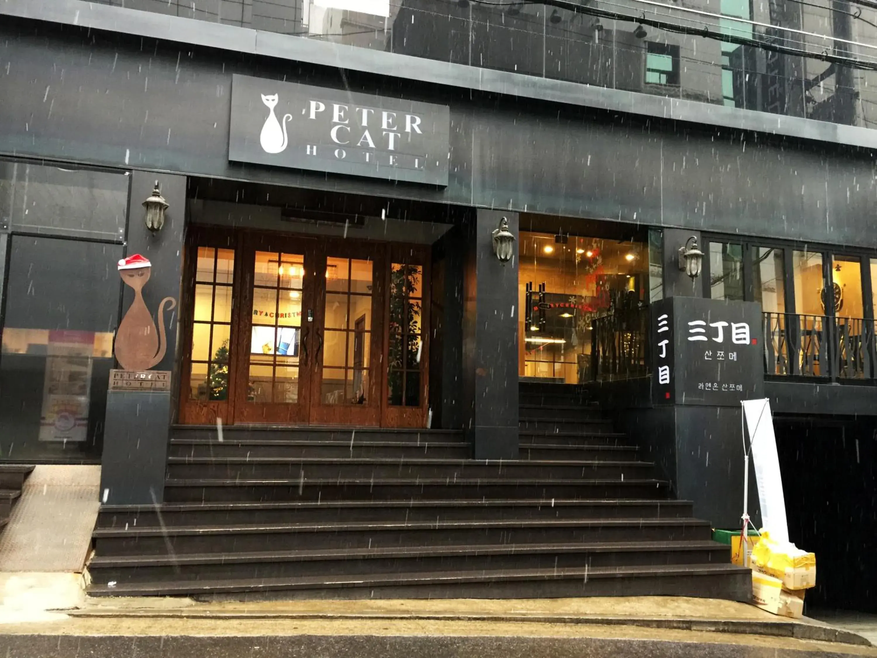 Petercat Hotel Shinchon Petercat Hotel Shinchon