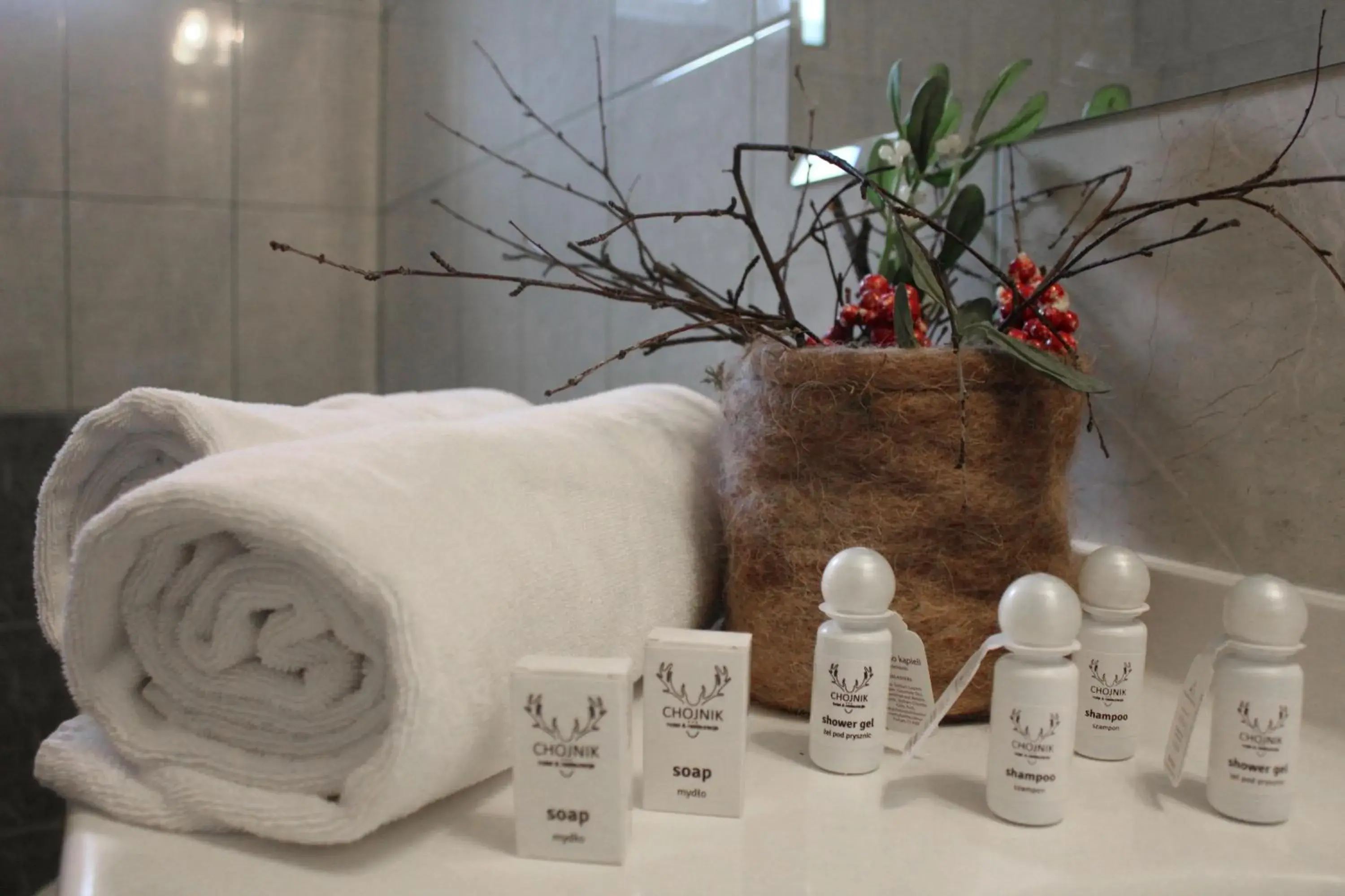 Double Room in Hotel Chojnik Double Room in Hotel Chojnik