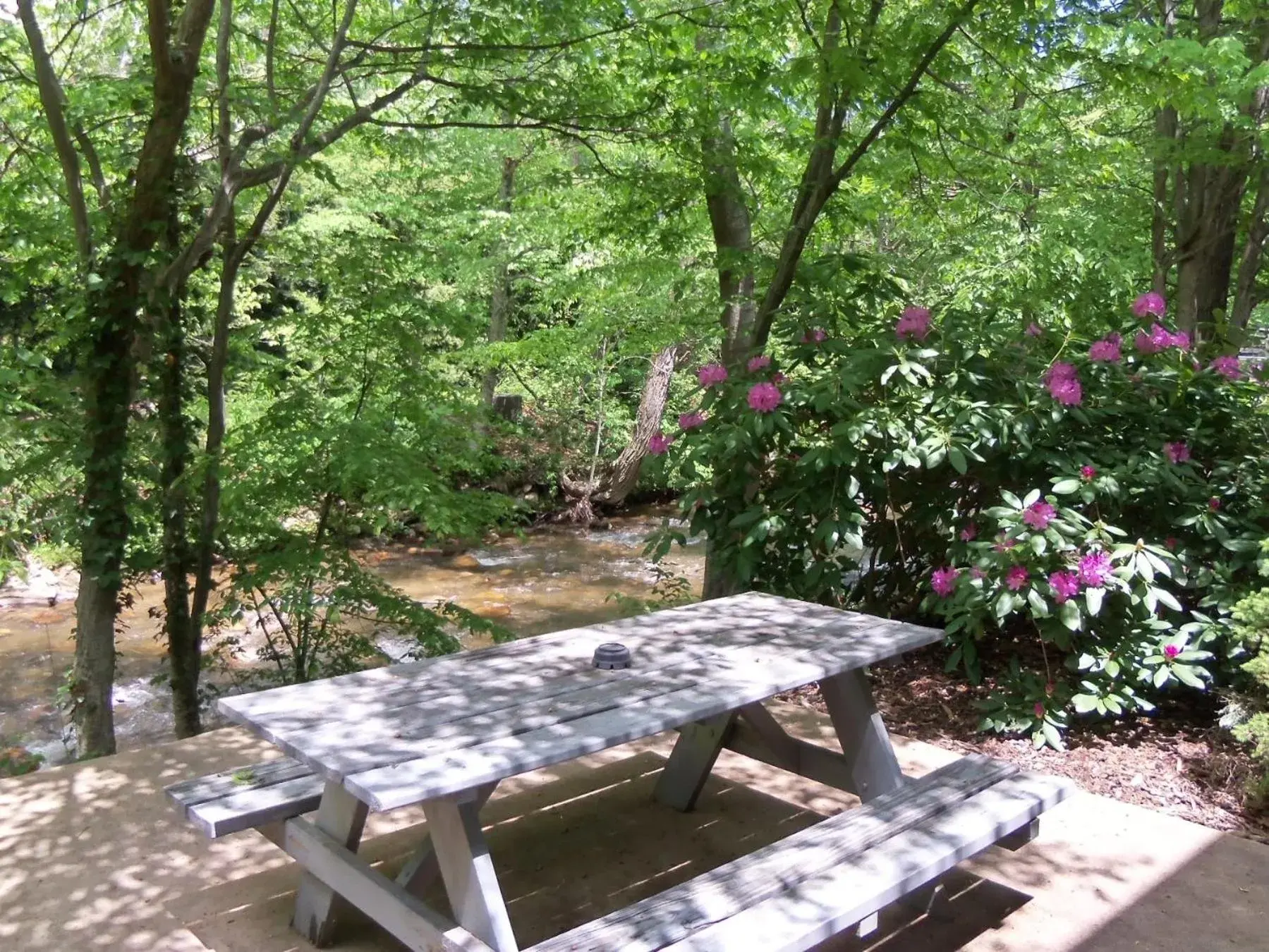 Queen with Two Queen Beds Creekside Kitchenette in Four Seasons Inn Queen with Two Queen Beds Creekside Kitchenette in Four Seasons Inn
