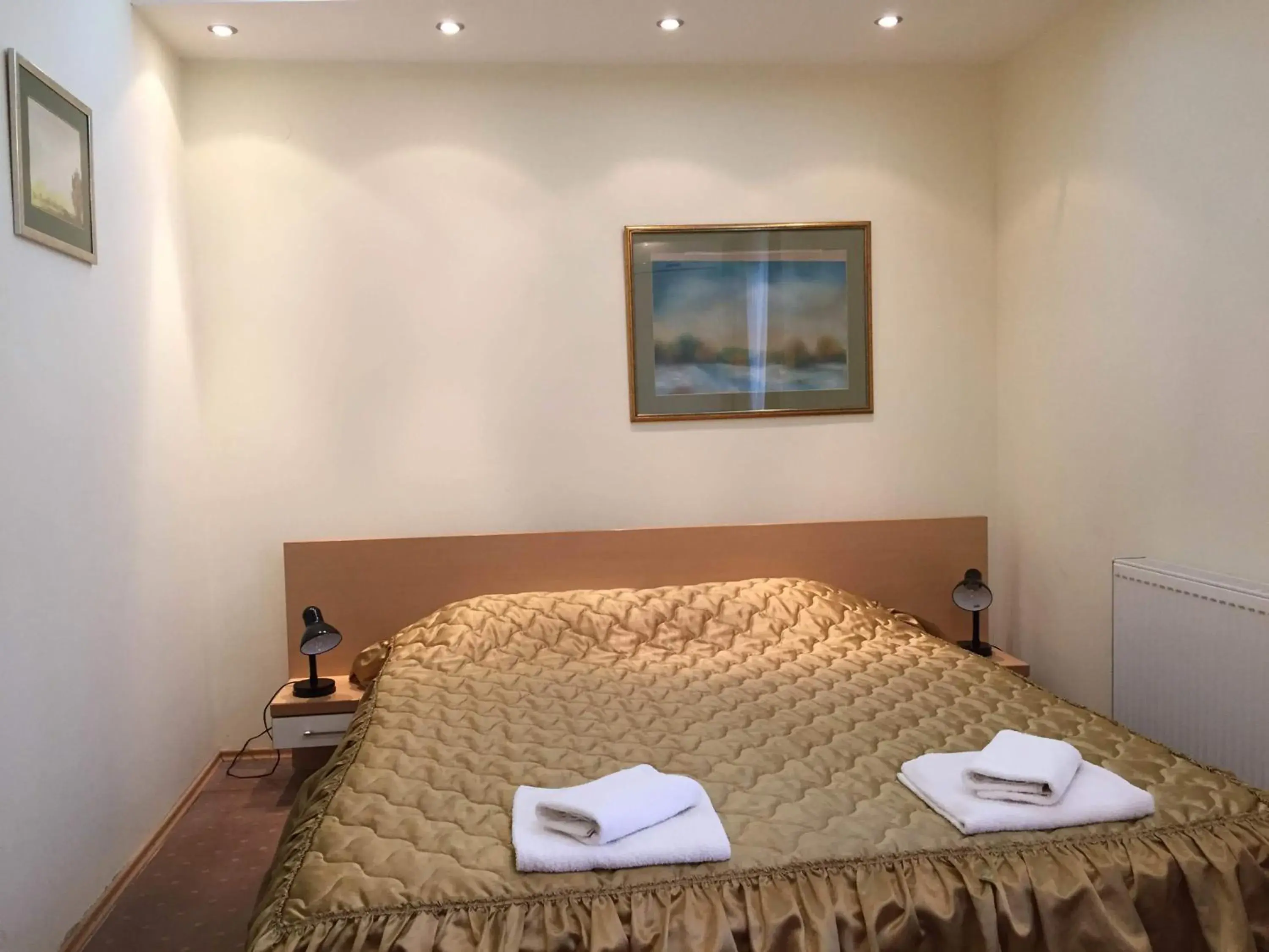 Deluxe Double or Twin Room in Hotel Tiski Cvet Deluxe Double or Twin Room in Hotel Tiski Cvet