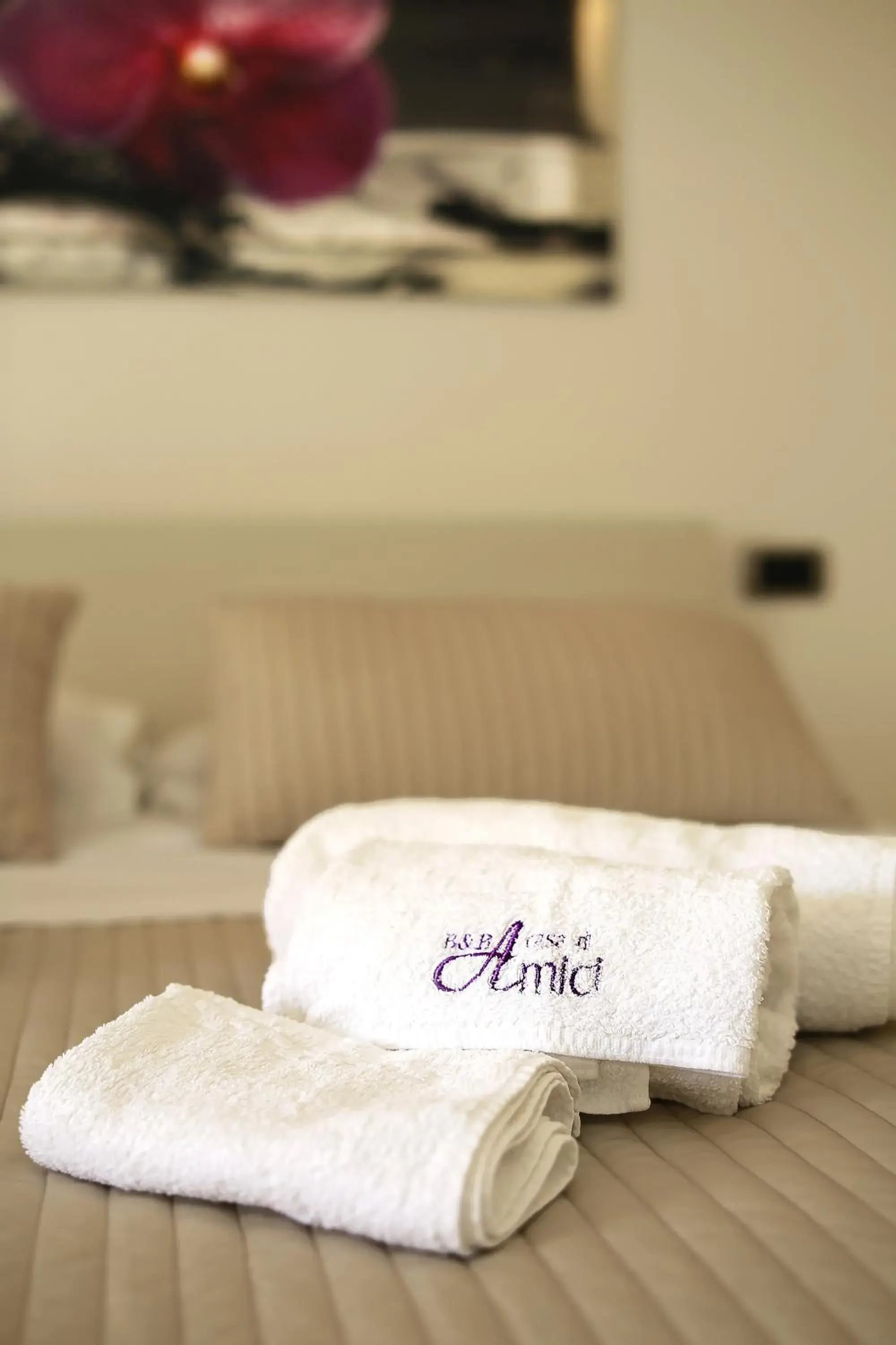 Double or Twin Room with Terrace in B&B A casa di amici Double or Twin Room with Terrace in B&B A casa di amici