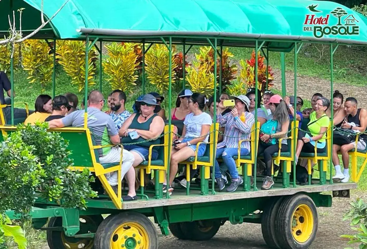 Hotel del Bosque Hotel del Bosque