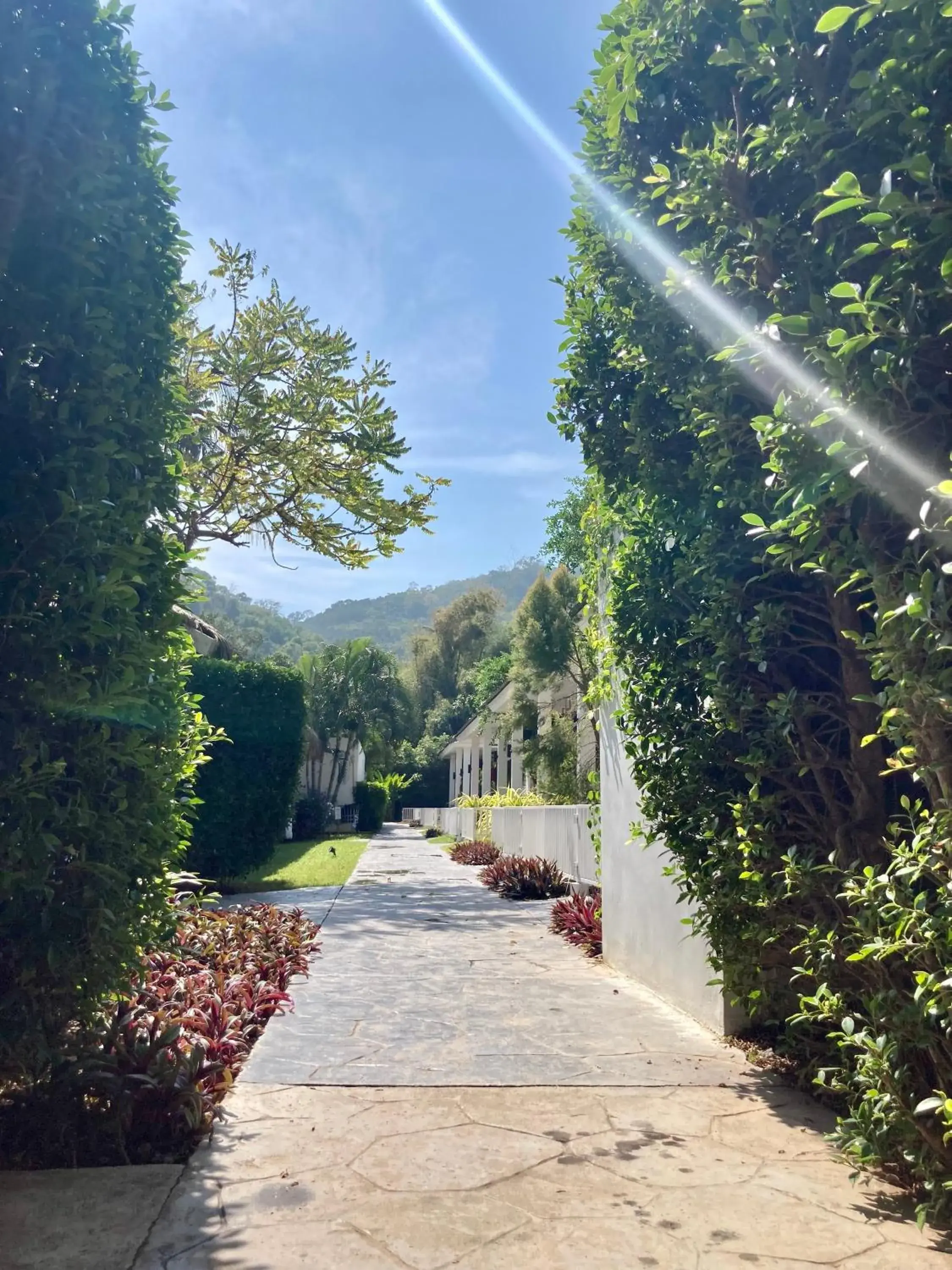 Garden View Pet Friendly Room in Sanae Beach Hua Hin Garden View Pet Friendly Room in Sanae Beach Hua Hin