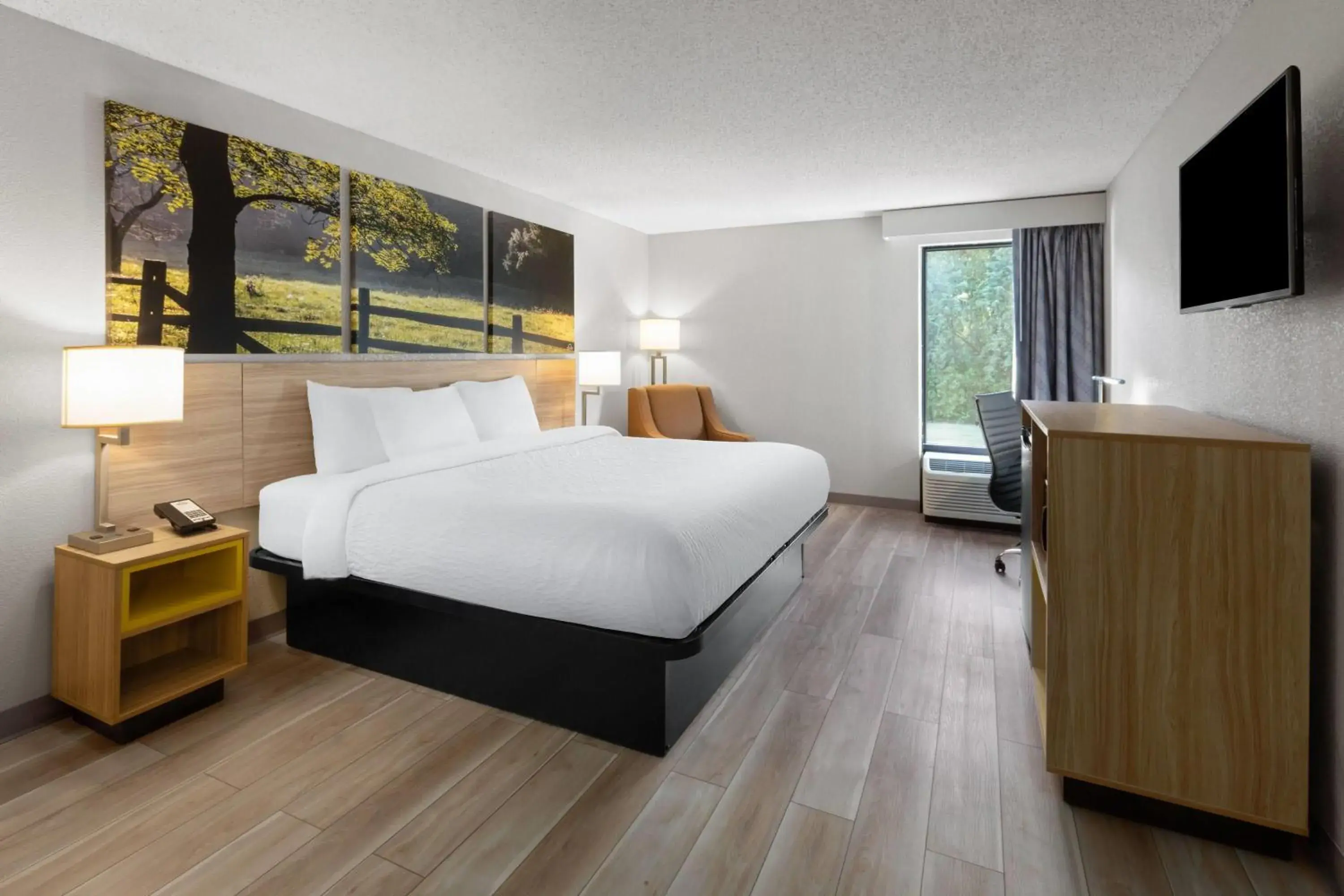 King Room - Non-Smoking in Days Inn by Wyndham Blairsville King Room - Non-Smoking in Days Inn by Wyndham Blairsville