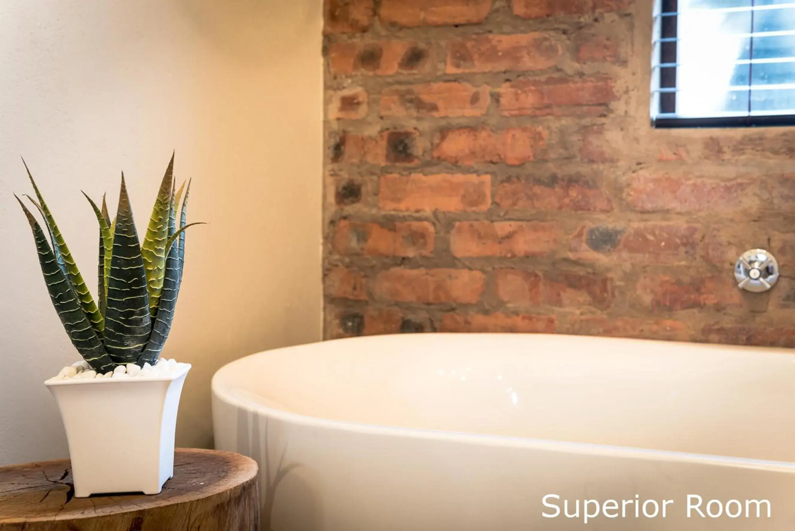 Superior Room - single occupancy in Hilton Bush Lodge & Function Venue Superior Room - single occupancy in Hilton Bush Lodge & Function Venue