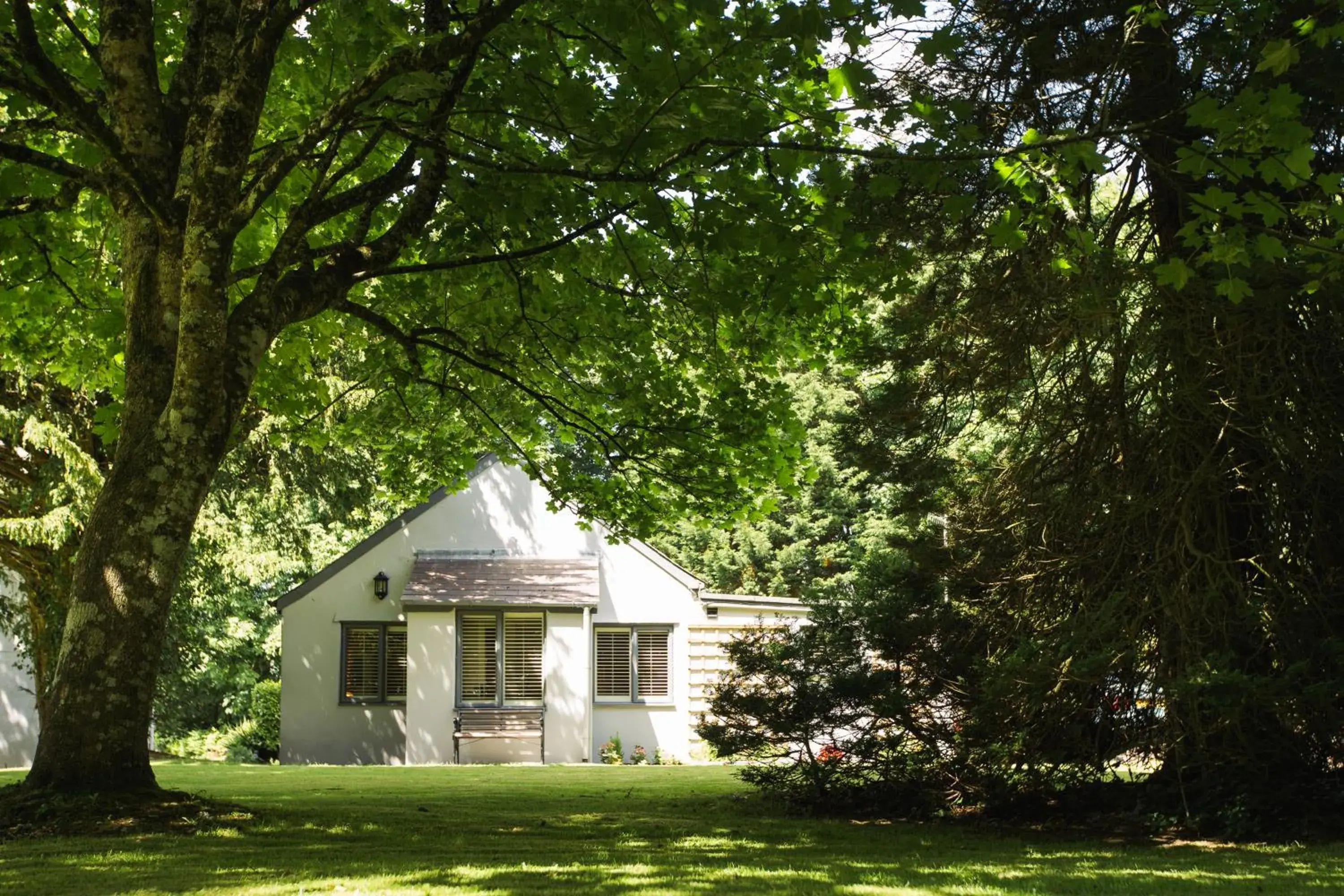 Deluxe Double Room - Coach House in The Broadmead Boutique B&B Deluxe Double Room - Coach House in The Broadmead Boutique B&B