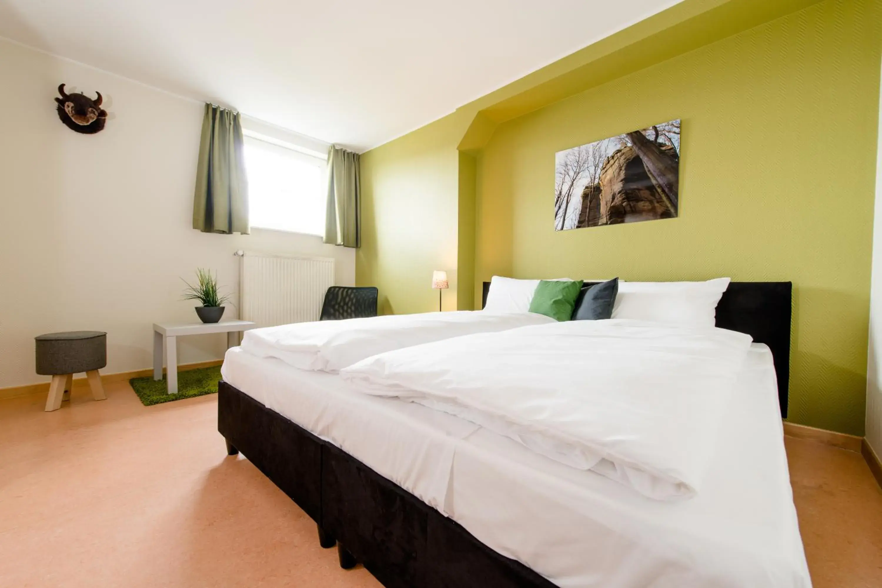 Double Room - single occupancy in Trail-Inn Natur & Sporthotel Double Room - single occupancy in Trail-Inn Natur & Sporthotel
