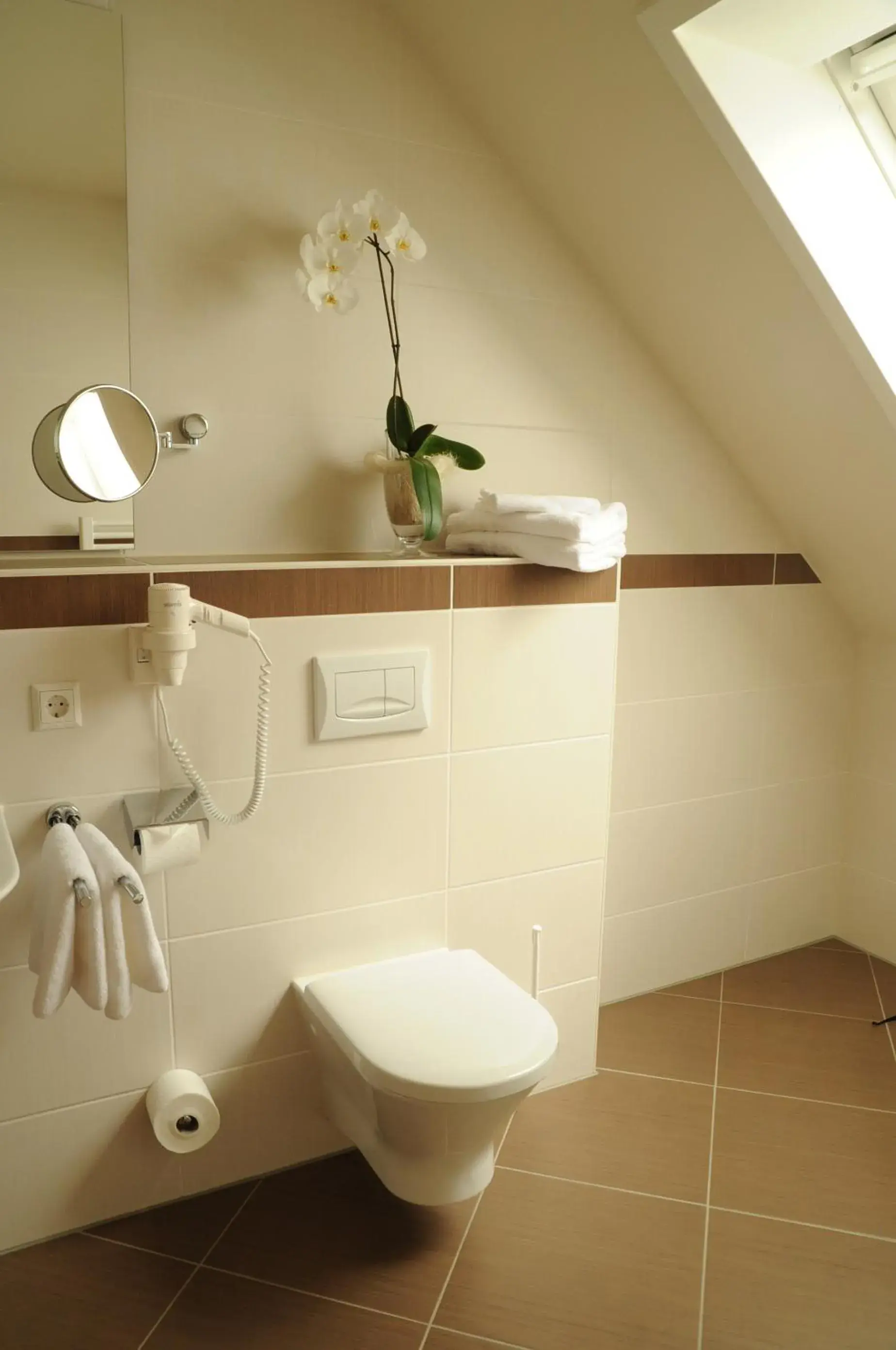 Beierleins Hotel & Catering GMBH Beierleins Hotel & Catering GMBH