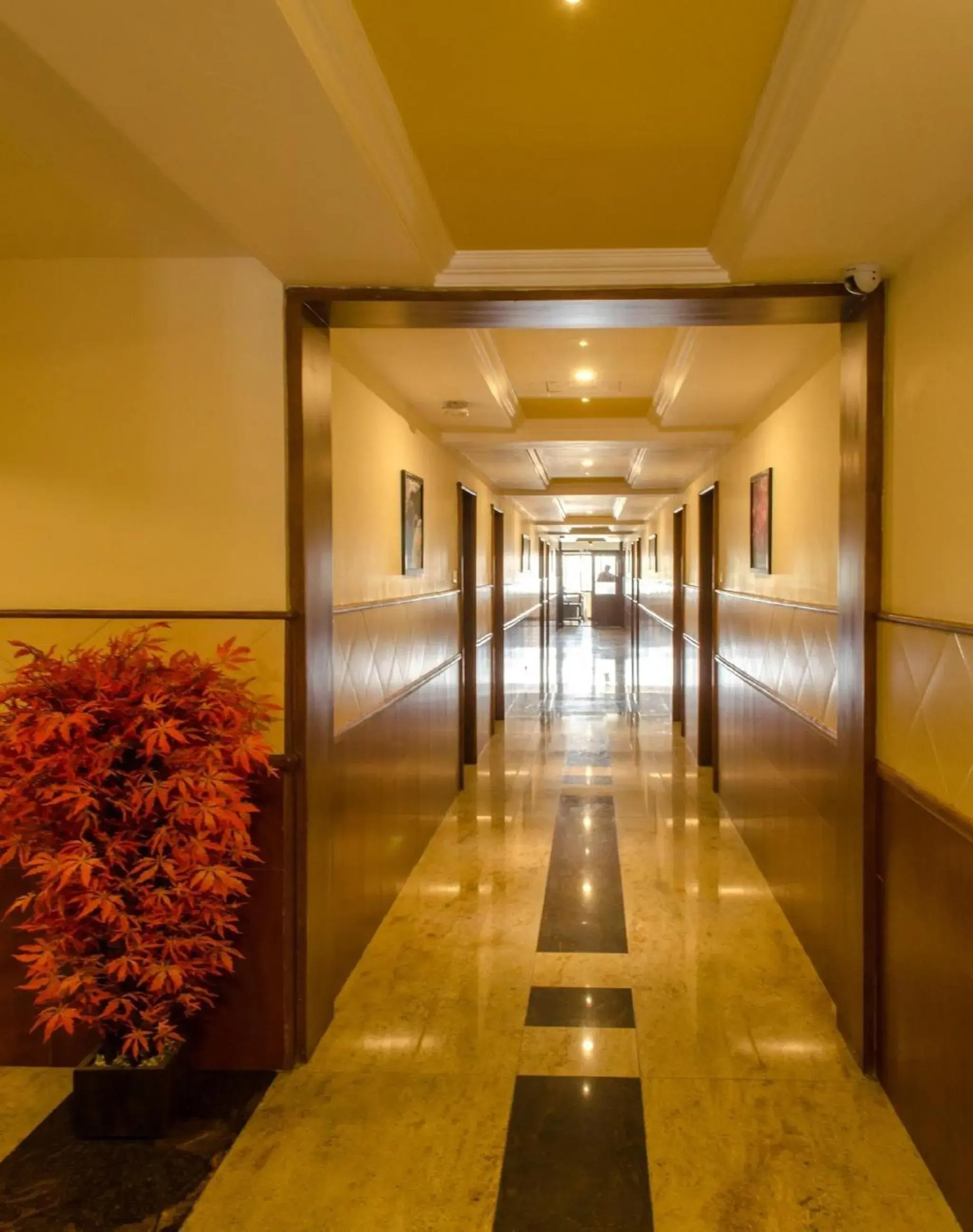 Executive Suite - single occupancy in Kohinoor Hotels Executive Suite - single occupancy in Kohinoor Hotels