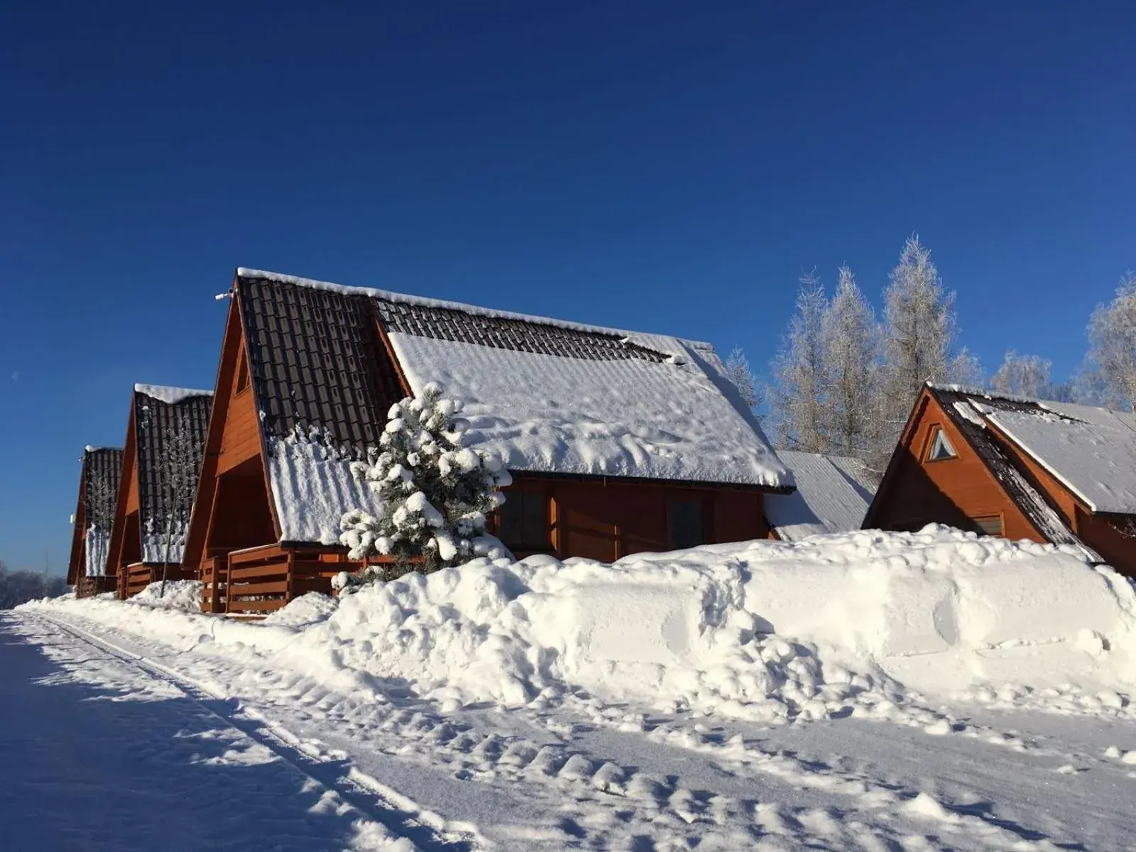 Two-Bedroom Chalet in Czocha Palace&Czocha Camping - OR Czocha Two-Bedroom Chalet in Czocha Palace&Czocha Camping - OR Czocha