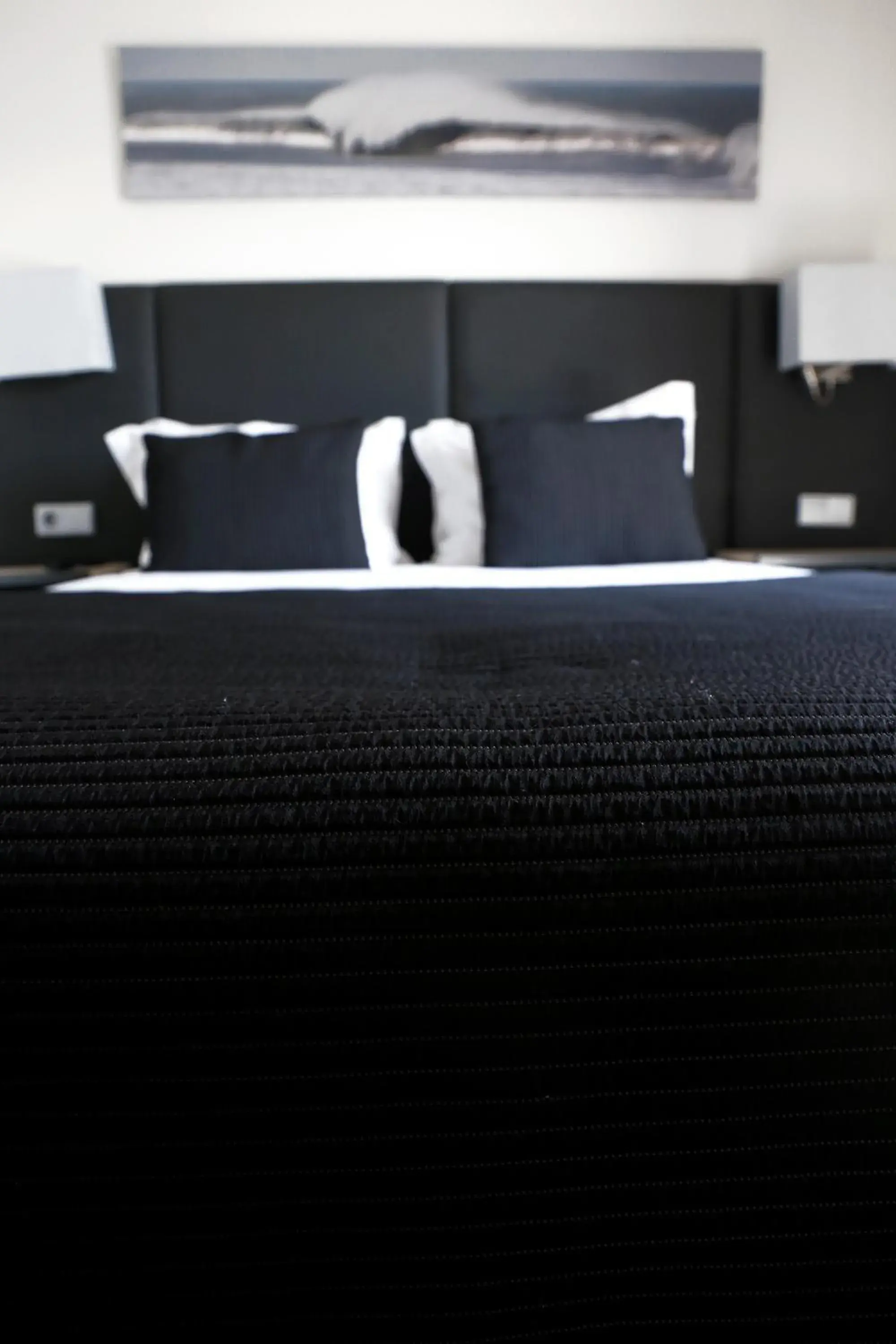 Standard Double Room - single occupancy in Hotel M Standard Double Room - single occupancy in Hotel M