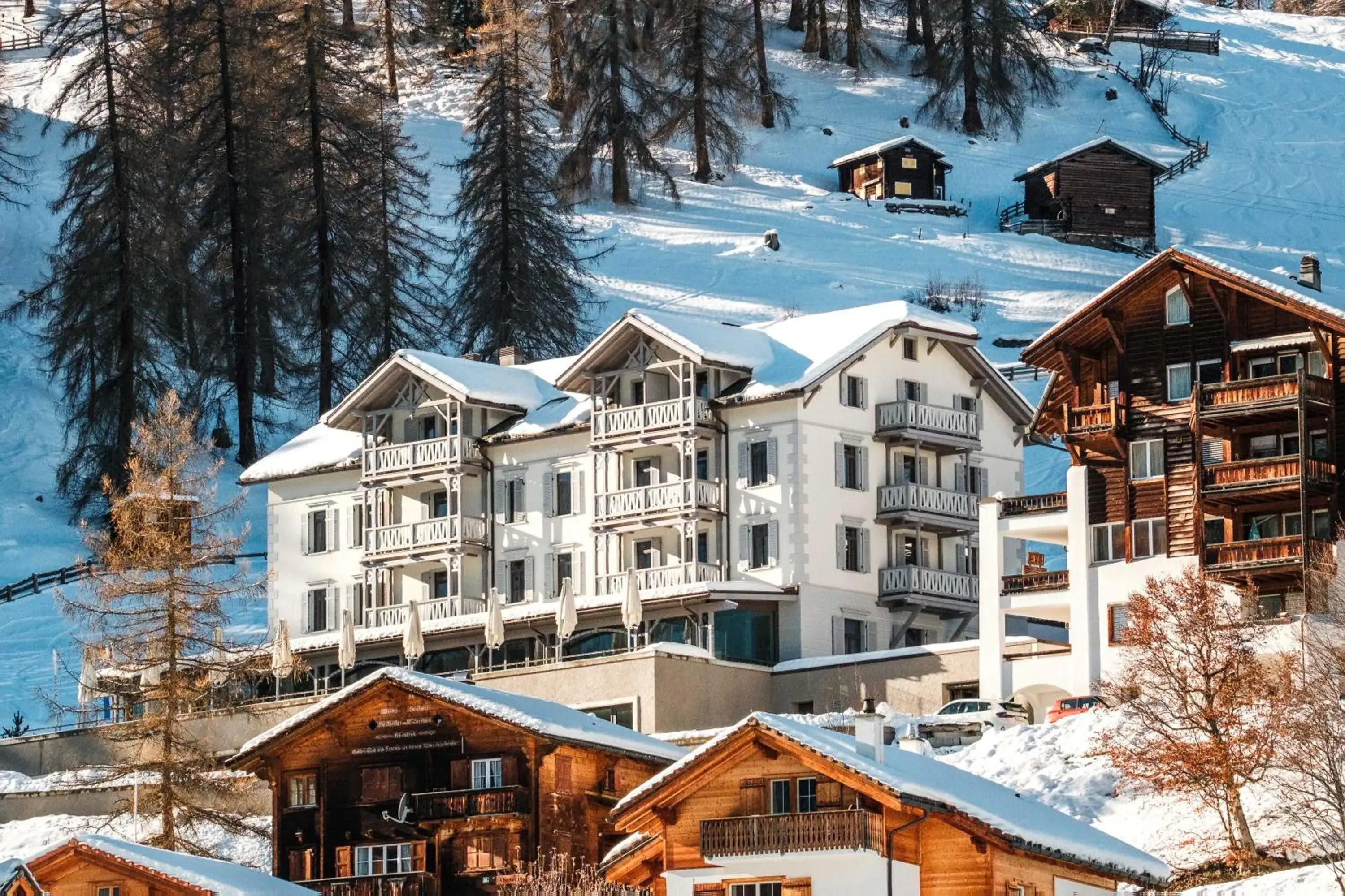 The Alpina Mountain Resort The Alpina Mountain Resort