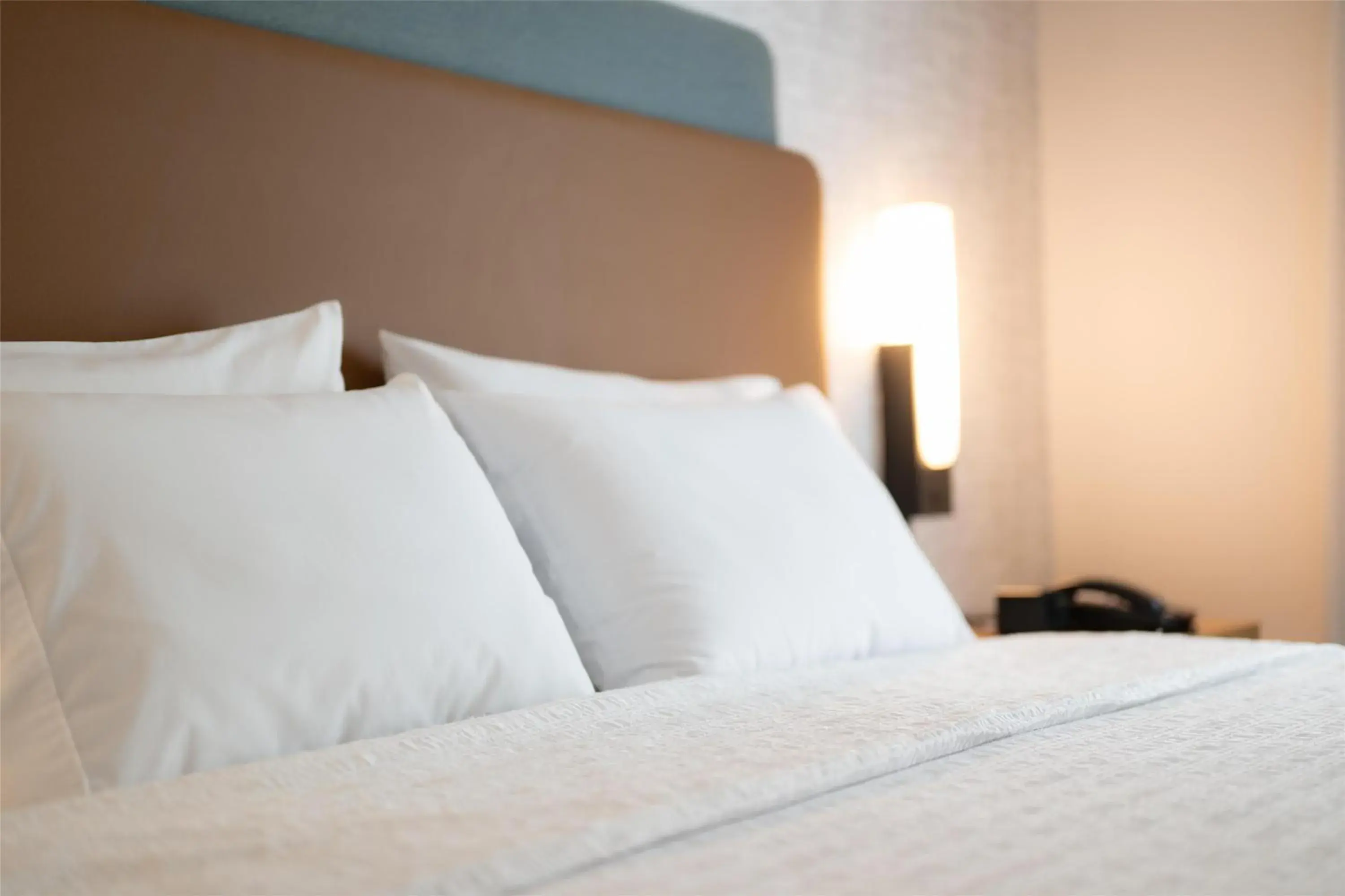 King Studio Suite with Sofa Bed - Hearing Access/Non-Smoking in Hampton Inn and Suites La Crosse Downtown King Studio Suite with Sofa Bed - Hearing Access/Non-Smoking in Hampton Inn and Suites La Crosse Downtown