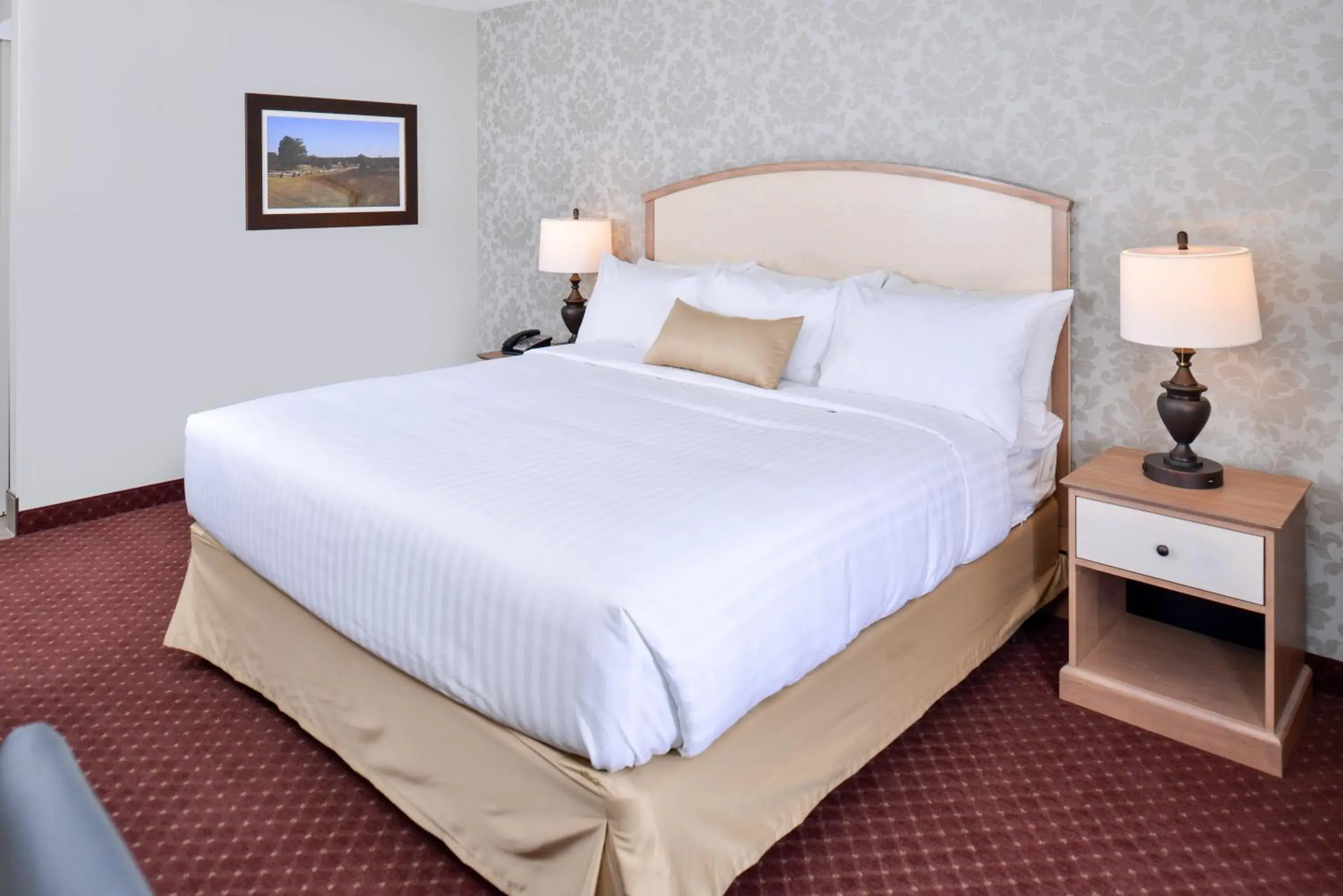 King Room - single occupancy - Disability Access in Appomattox Inn and Suites King Room - single occupancy - Disability Access in Appomattox Inn and Suites