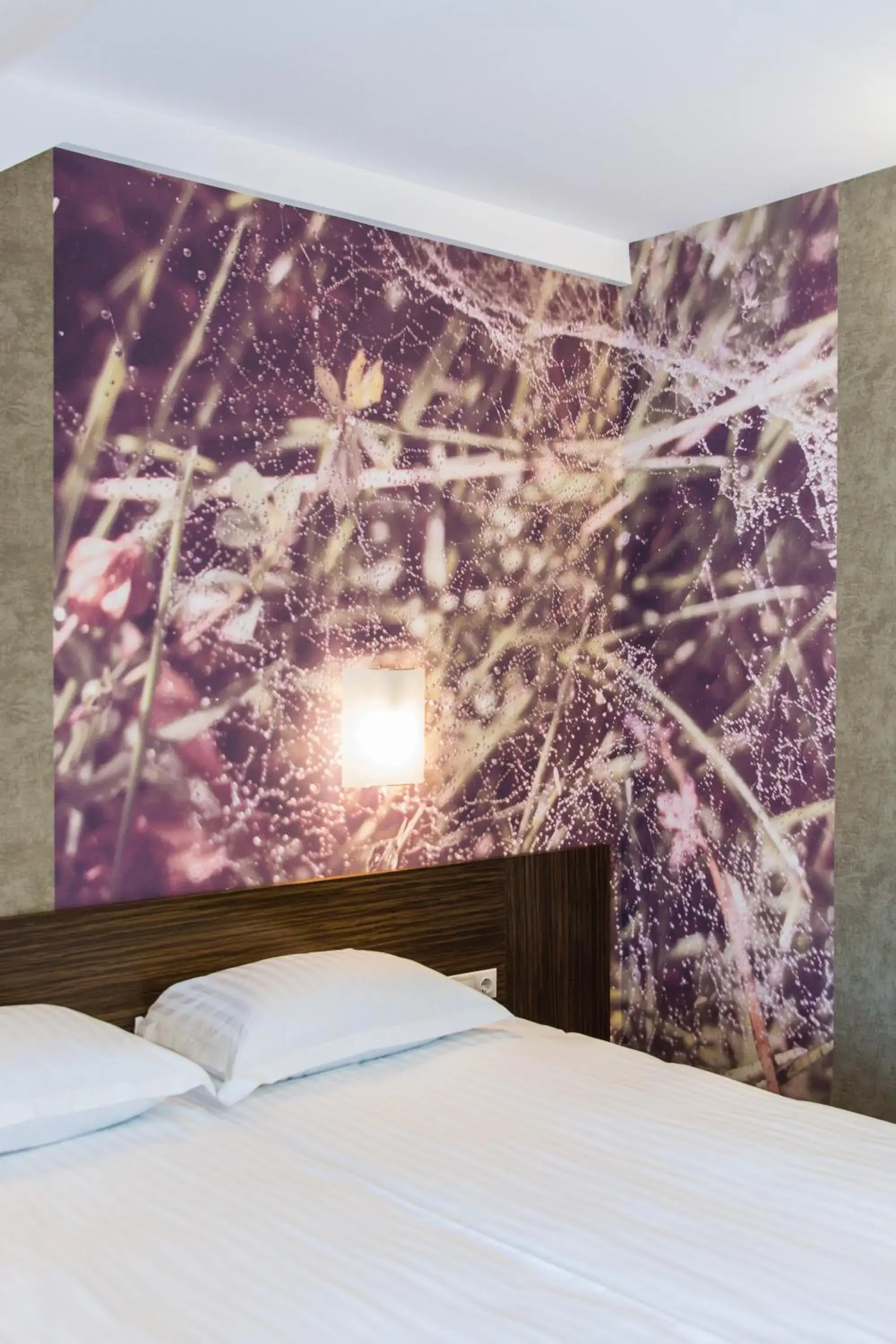 Standard Double Room in Kryve Ozero Standard Double Room in Kryve Ozero