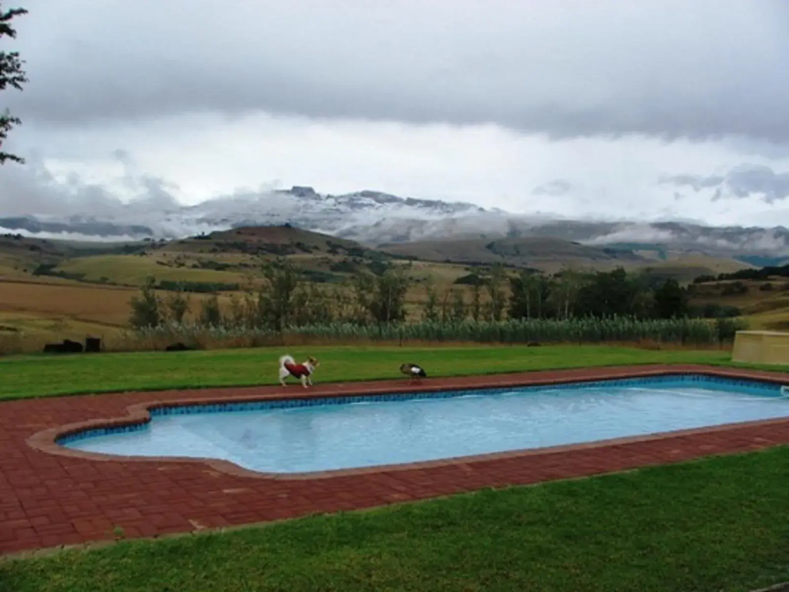 River Crossing River Crossing