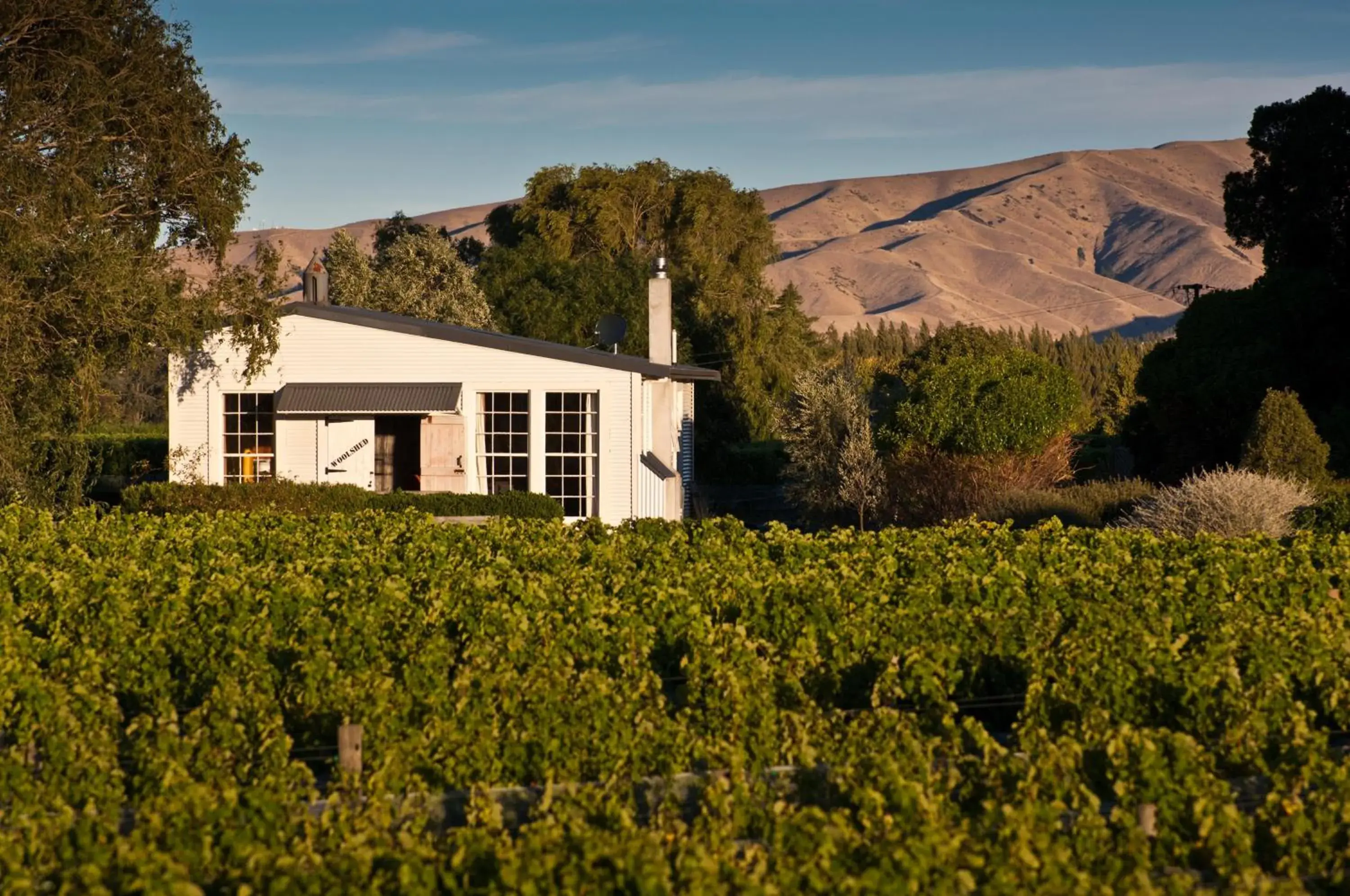 St Leonards Vineyard Cottages St Leonards Vineyard Cottages