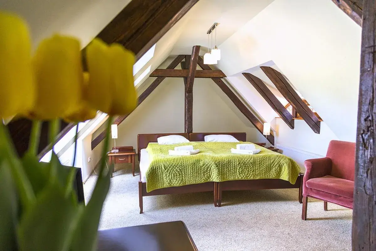 Studio in Willa Zameczek Studio in Willa Zameczek