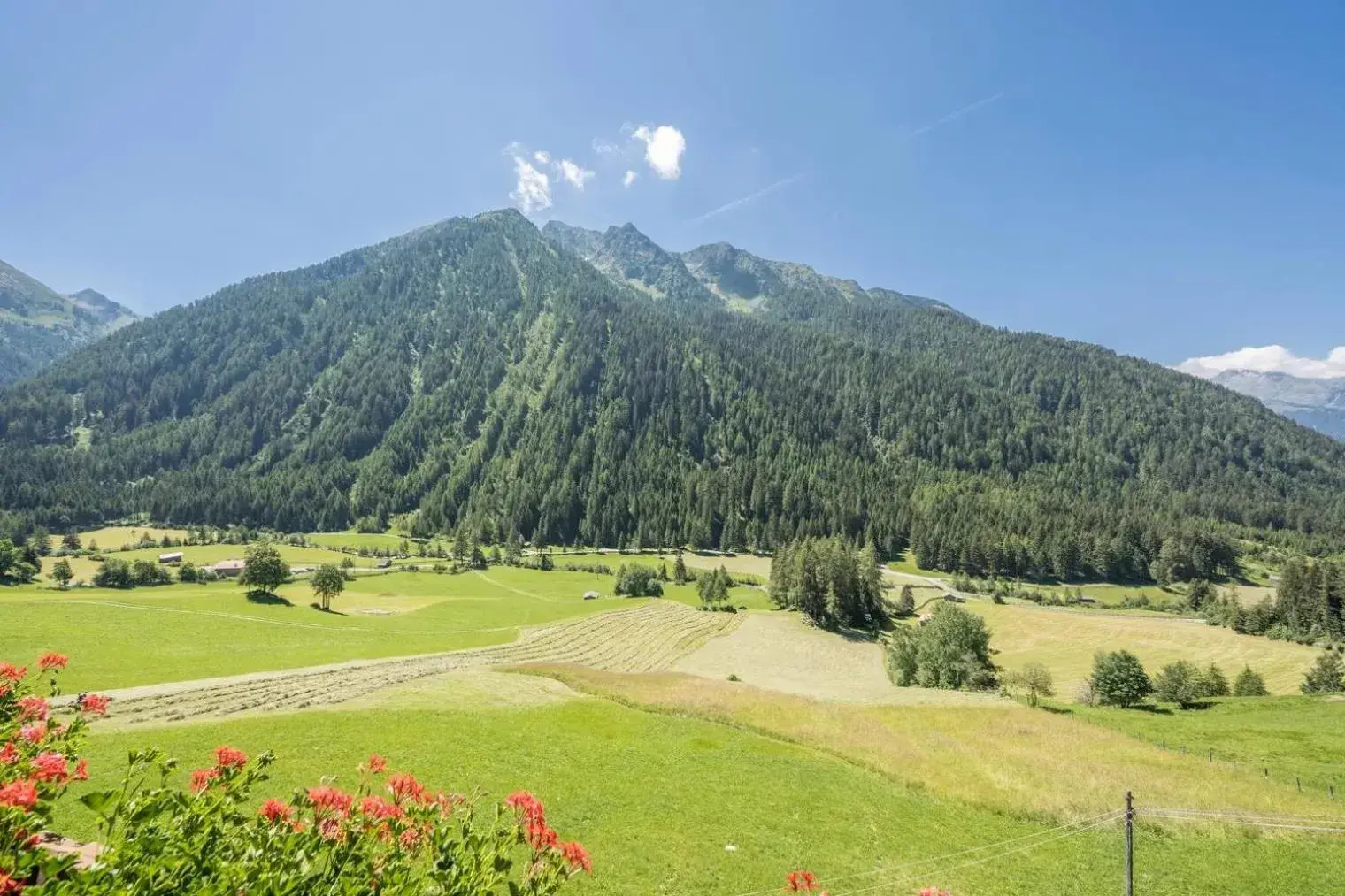 Apartment with Mountain View - single occupancy in Gasthof Innerwalten Apartment with Mountain View - single occupancy in Gasthof Innerwalten