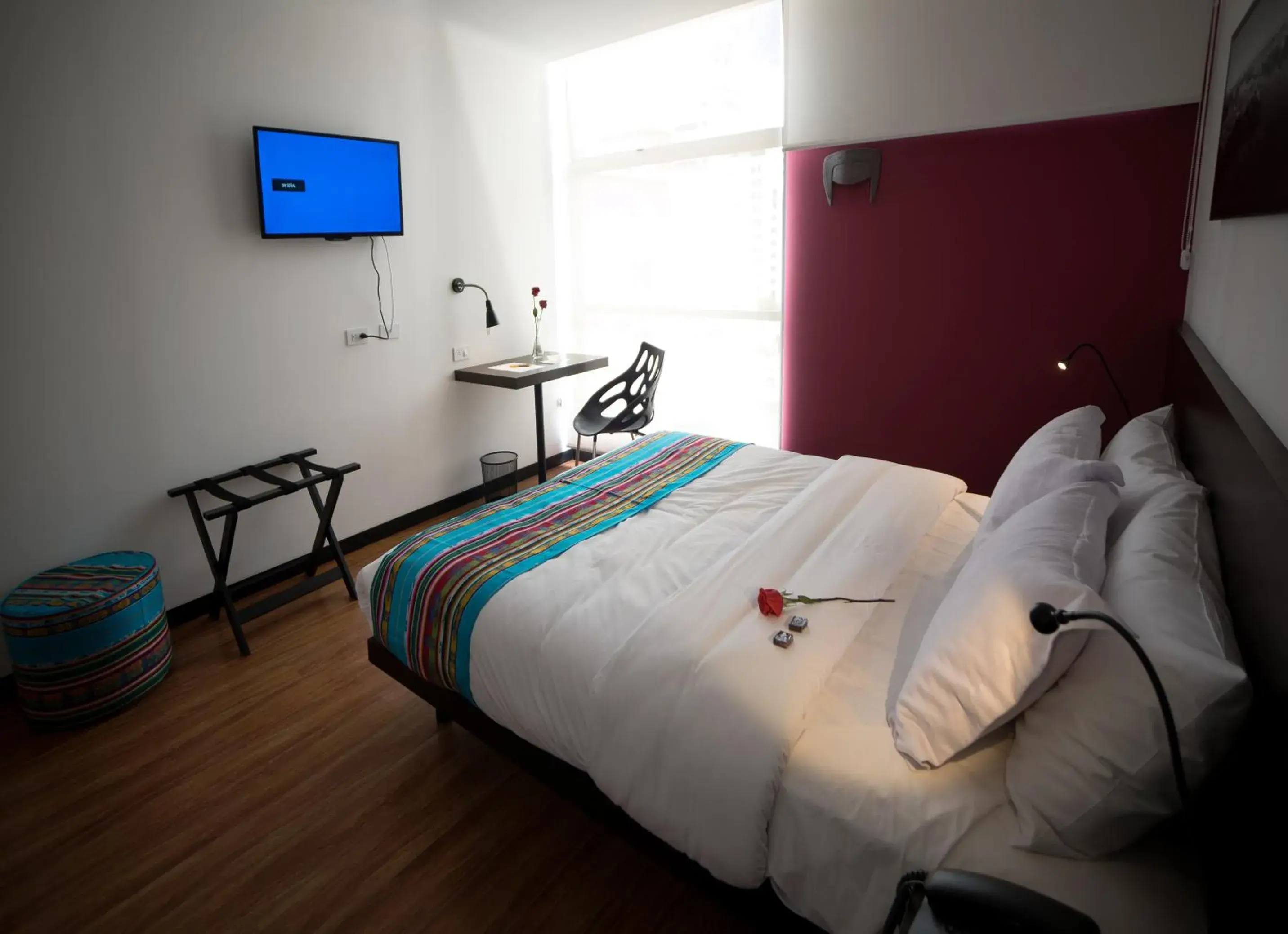 Single Room - single occupancy in Casa Q Single Room - single occupancy in Casa Q