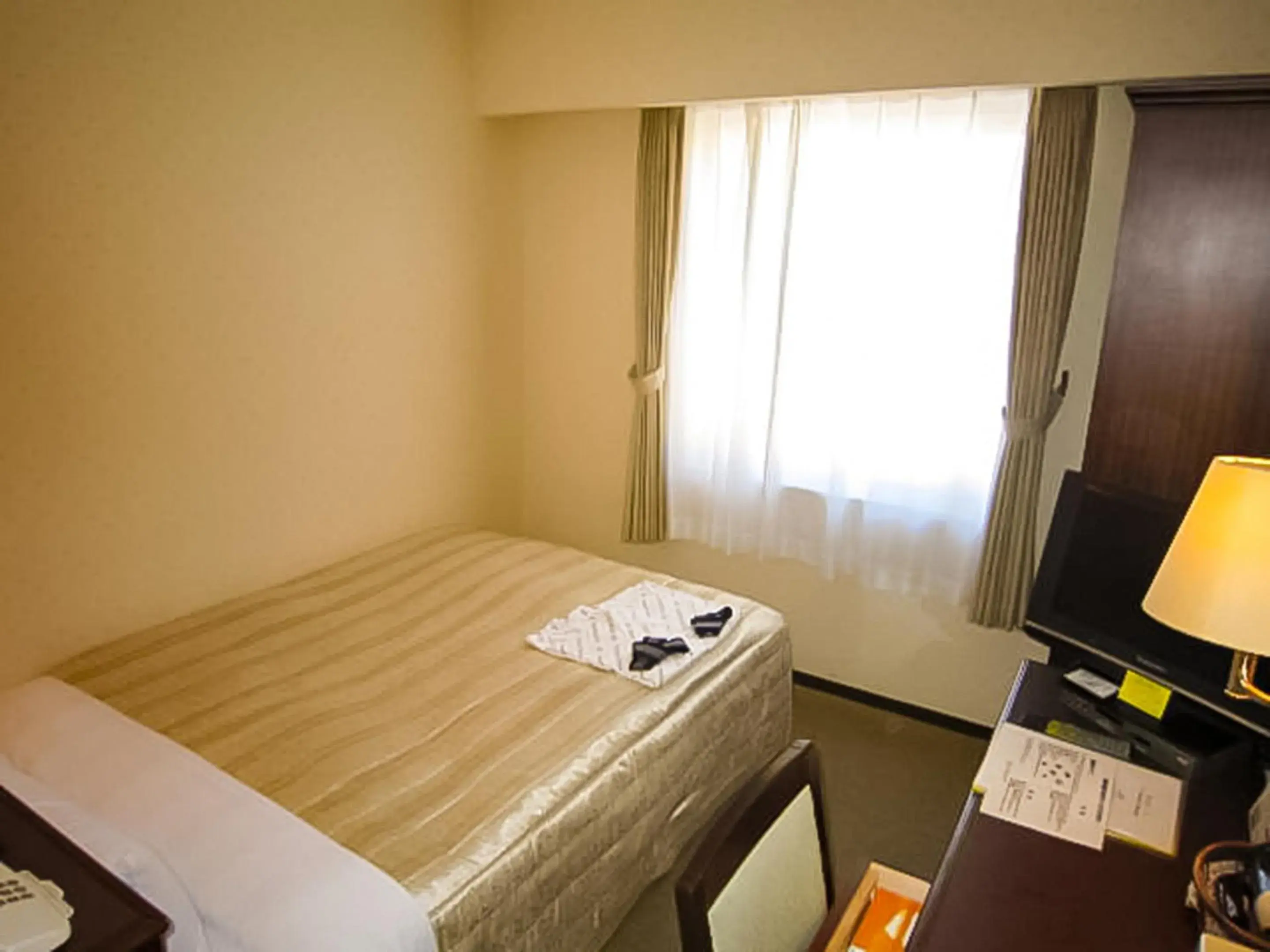 Double Room - single occupancy in Ichihara Marine Hotel Double Room - single occupancy in Ichihara Marine Hotel