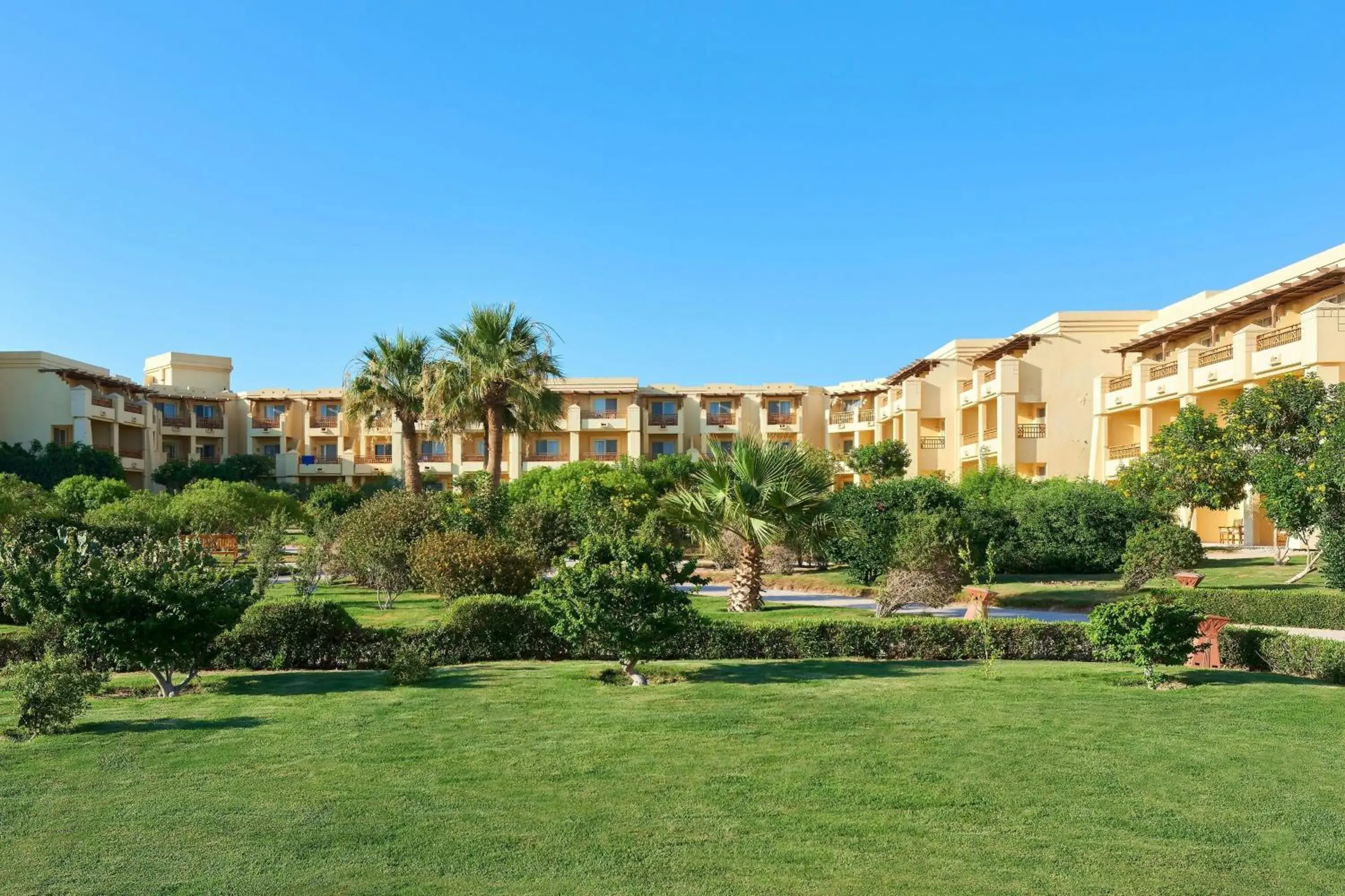 Standard Guest Room, Guest room, 1 King, Partial Sea View in Sheraton Soma Bay Resort Standard Guest Room, Guest room, 1 King, Partial Sea View in Sheraton Soma Bay Resort