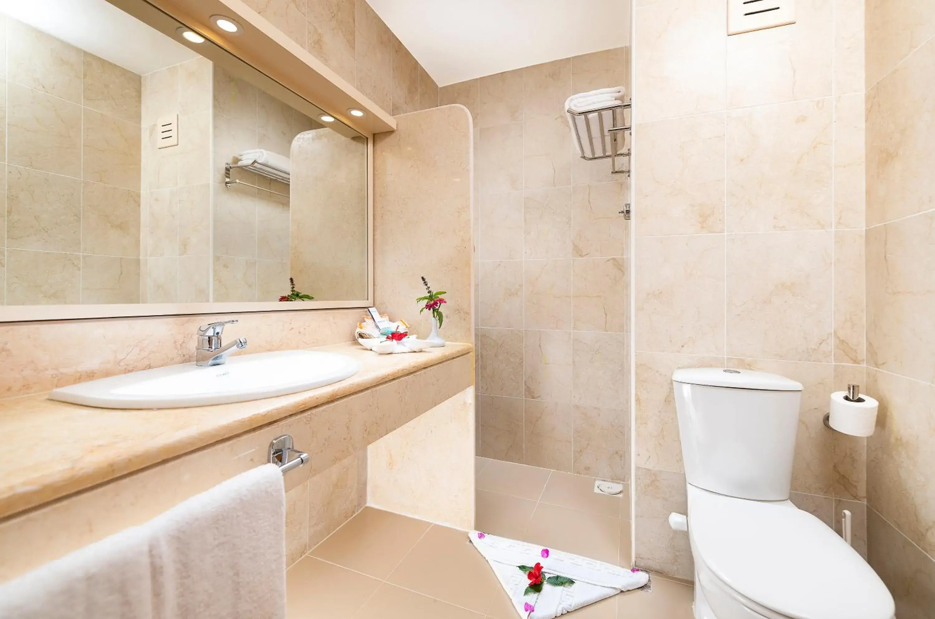 Premium Room - single occupancy in Three Corners Fayrouz Plaza Beach Resort Premium Room - single occupancy in Three Corners Fayrouz Plaza Beach Resort