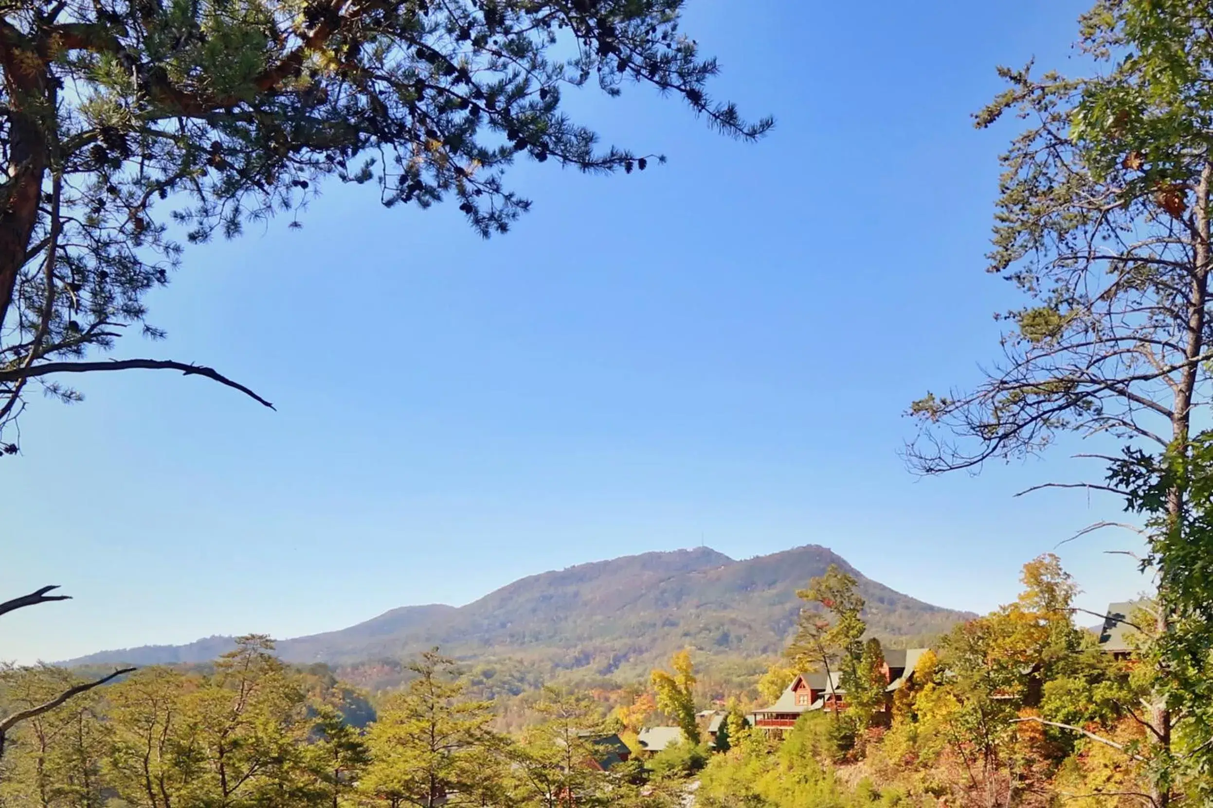 Sugar Shack Sugar Shack