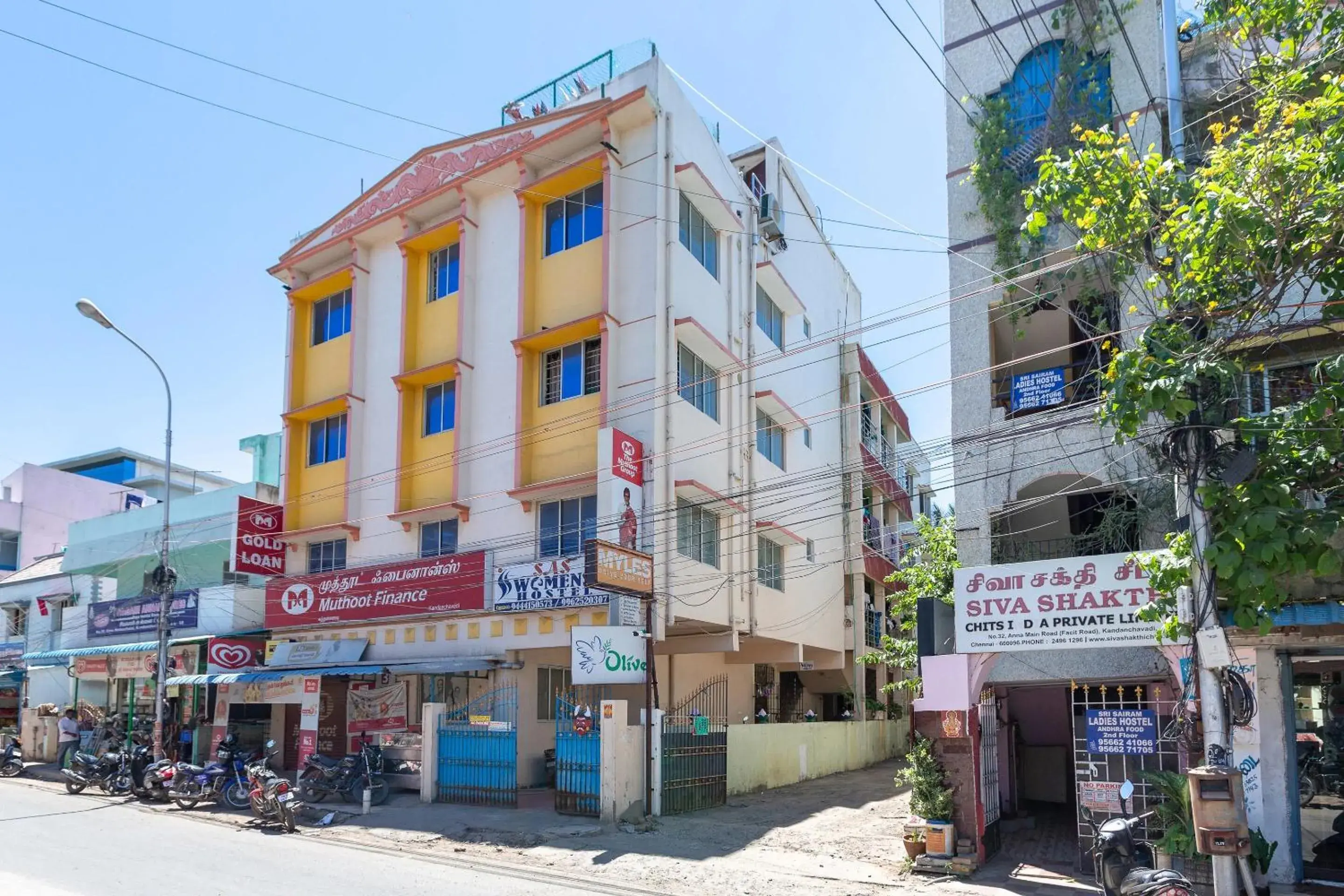 Olive Apartments Olive Apartments