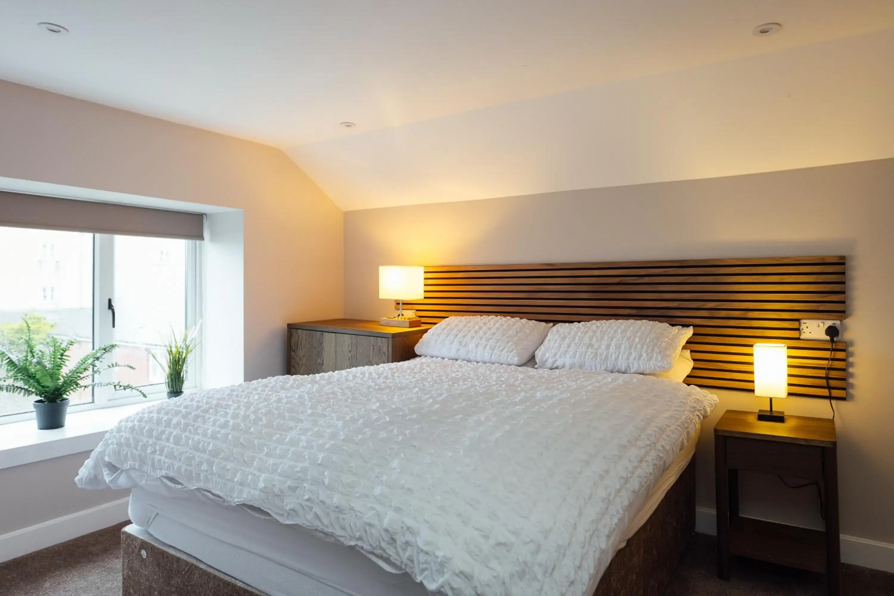 Deluxe Double Room with Shower in The Dolphin Hotel & Restaurant Deluxe Double Room with Shower in The Dolphin Hotel & Restaurant