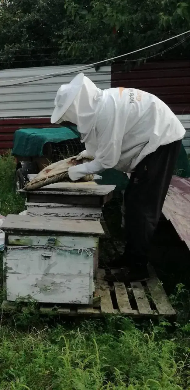 Paradise Investment Resort Paradise Investment Resort