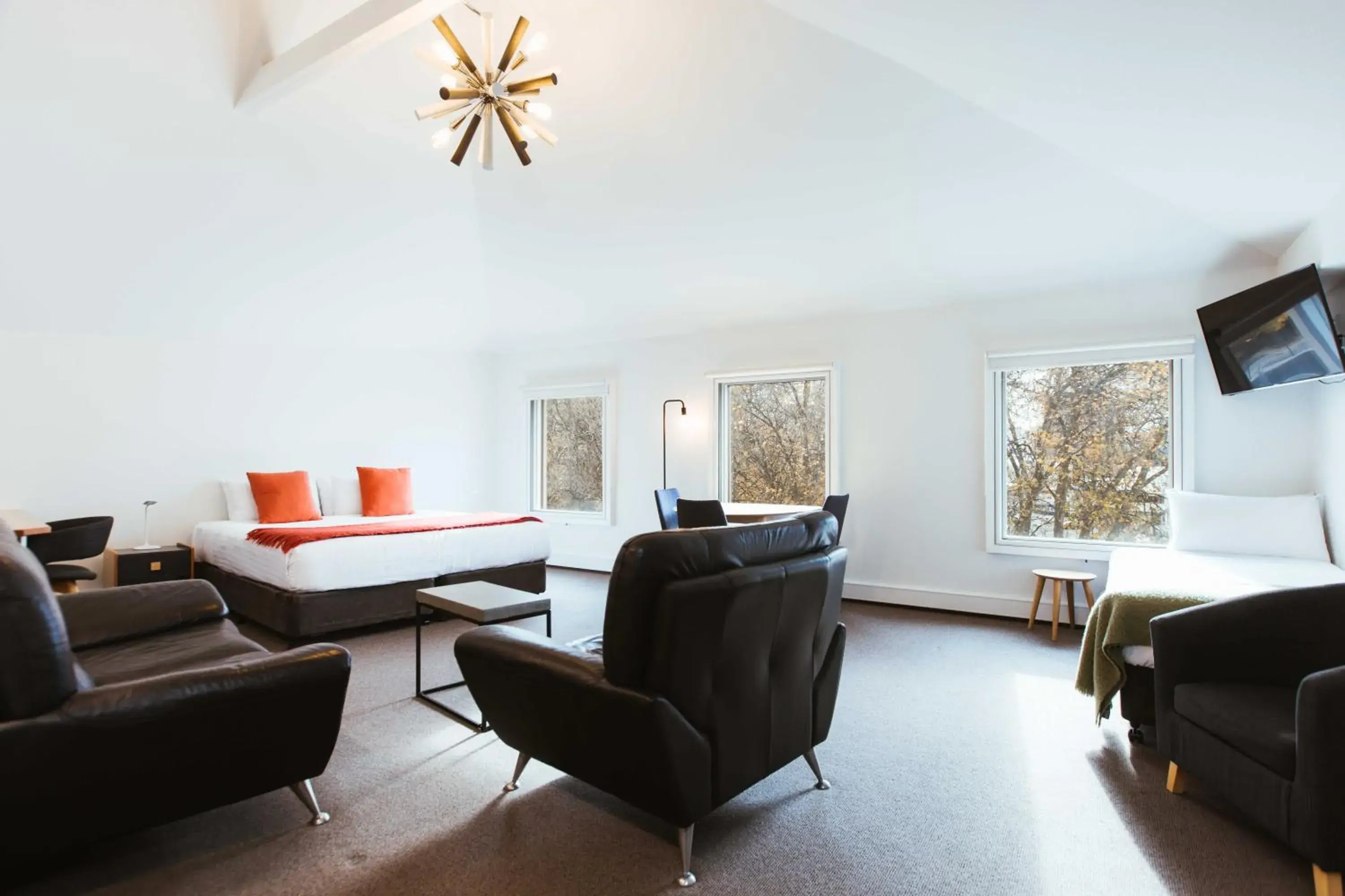 the SALAMANCA KING - Apt 1 in Salamanca Galleria Apartments the SALAMANCA KING - Apt 1 in Salamanca Galleria Apartments