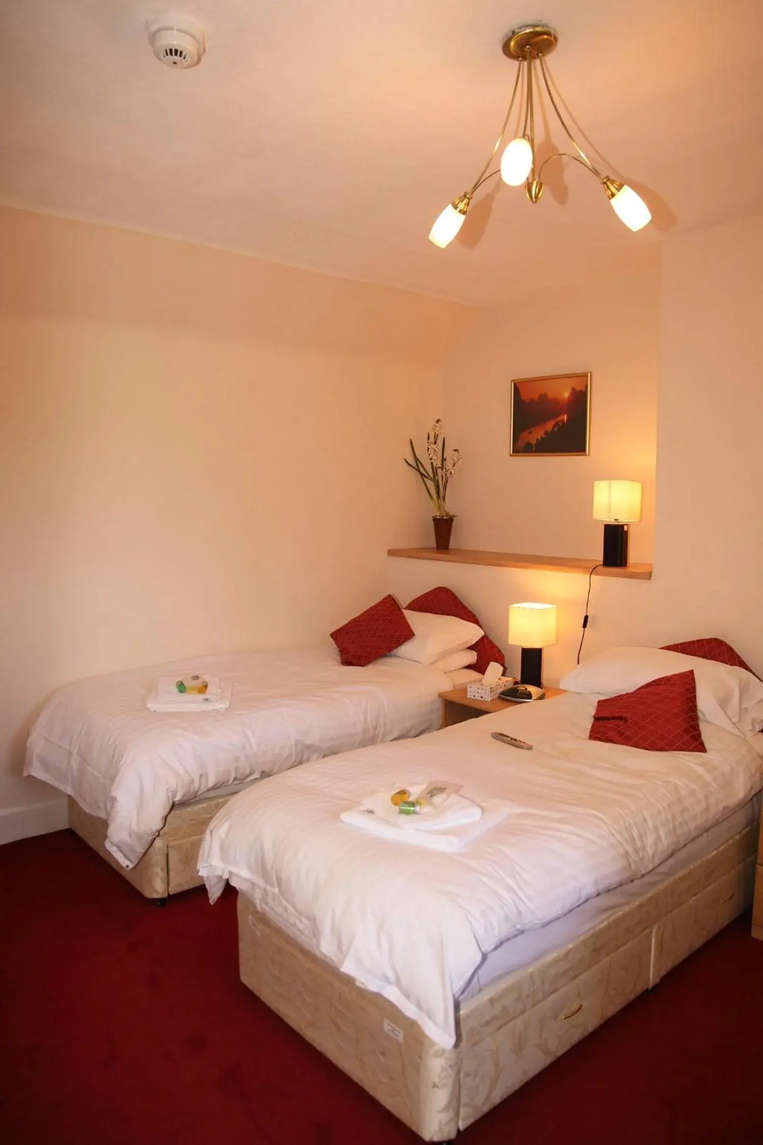 Standard Twin Room in The Red Lion Standard Twin Room in The Red Lion