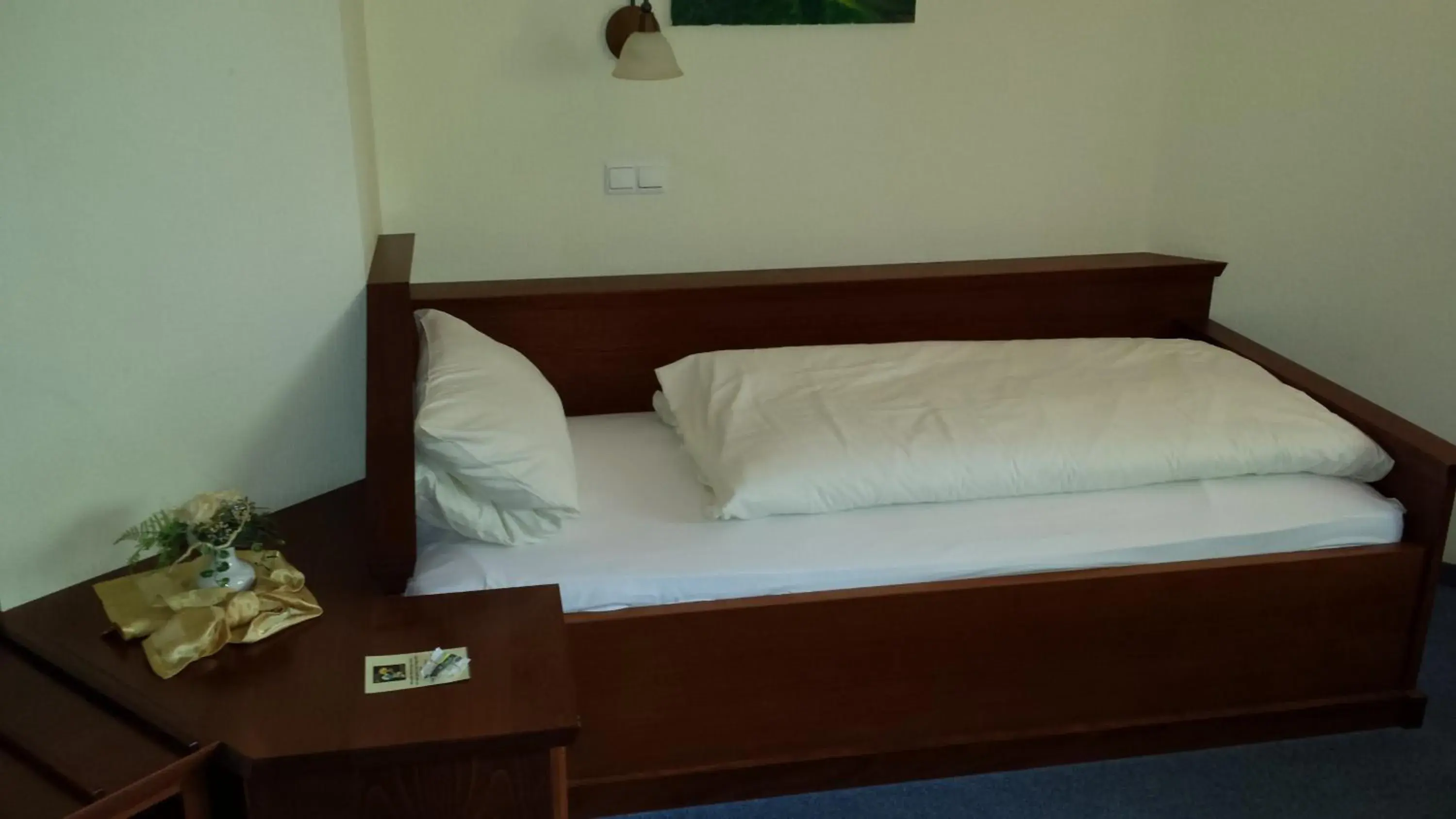 Single Room in Hotel Restaurant Am Pfauenhof Single Room in Hotel Restaurant Am Pfauenhof