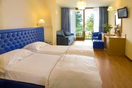 Superior Double Room with Balcony in Hotel Alexander Superior Double Room with Balcony in Hotel Alexander