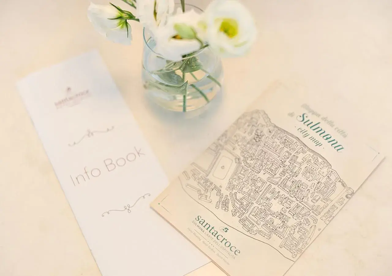 Double Room - single occupancy in Hotel Ovidius Double Room - single occupancy in Hotel Ovidius