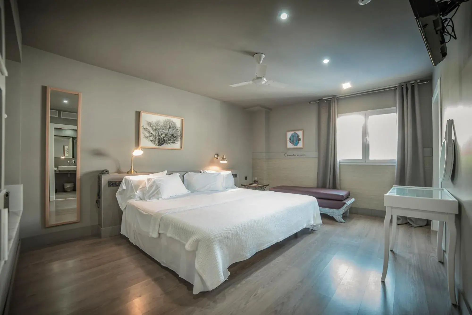 Premium Suite in Hotel MC San José Premium Suite in Hotel MC San José