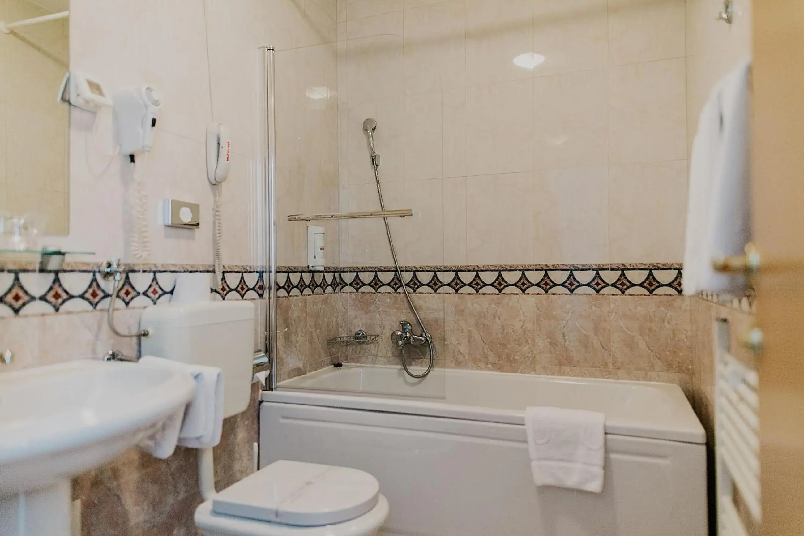 Double Room in Hotel Silver Double Room in Hotel Silver