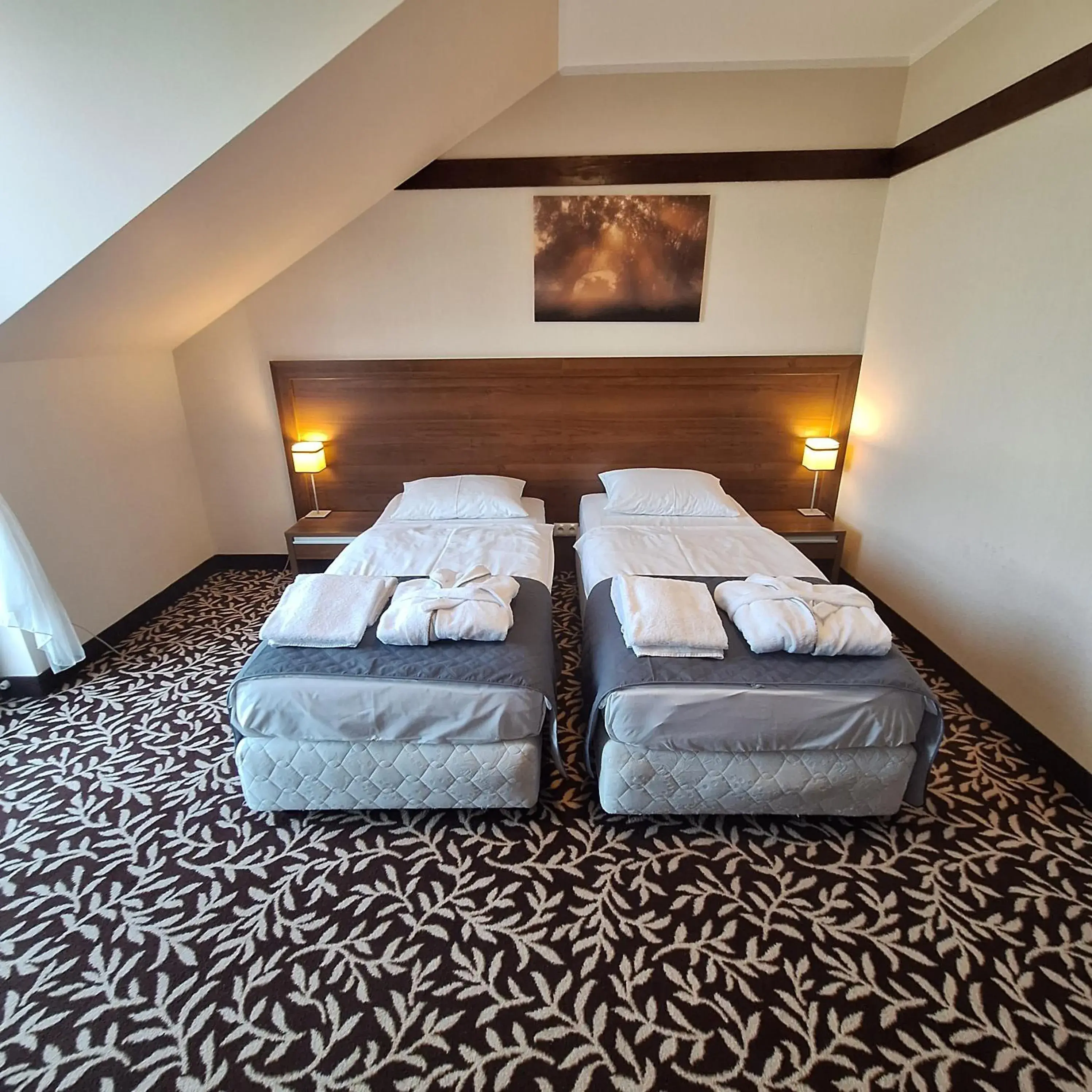 Double Room in Hotel i Aquapark Olender Double Room in Hotel i Aquapark Olender