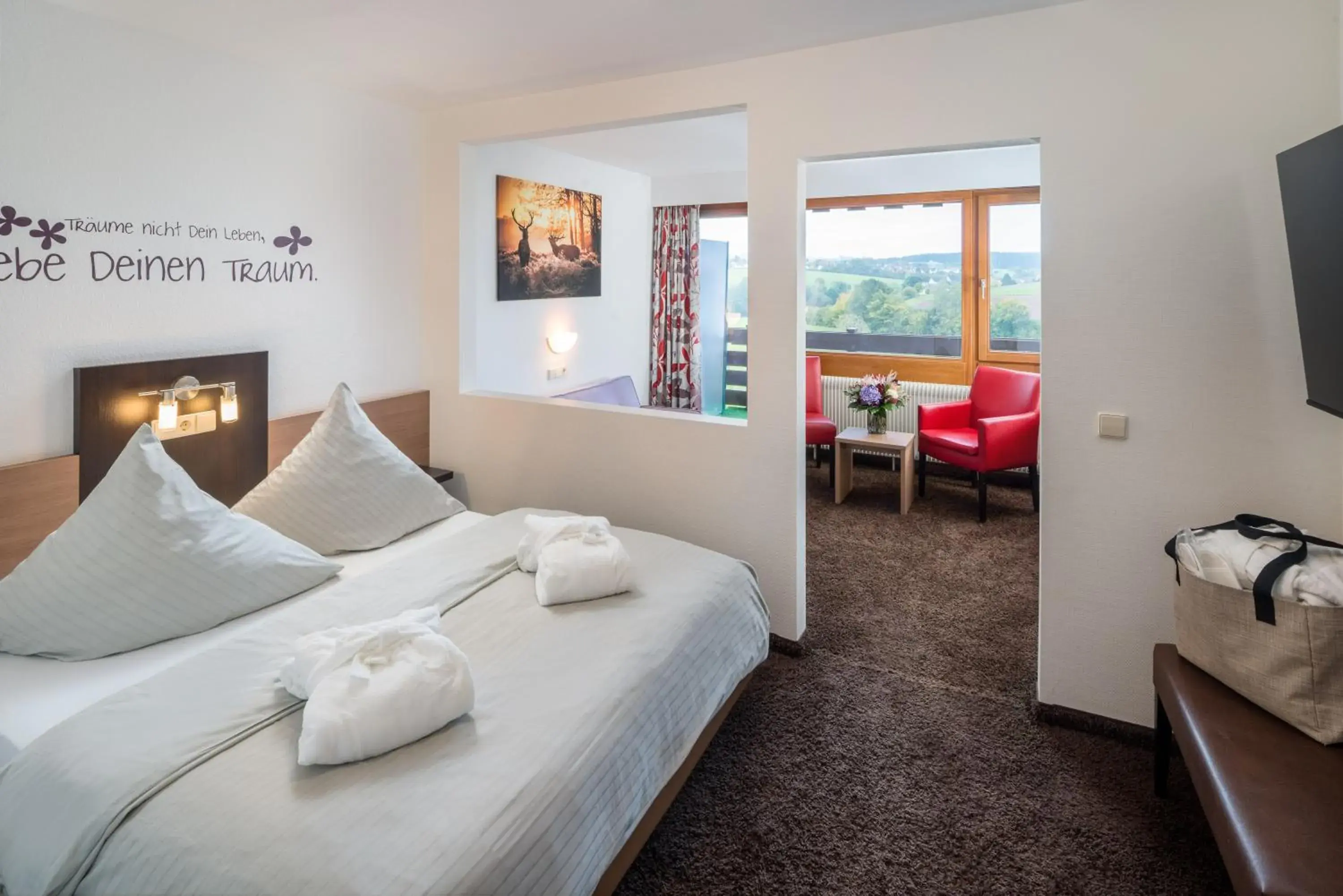 Superior Double Room in the adjacent building in Hotel Waldachtal Superior Double Room in the adjacent building in Hotel Waldachtal