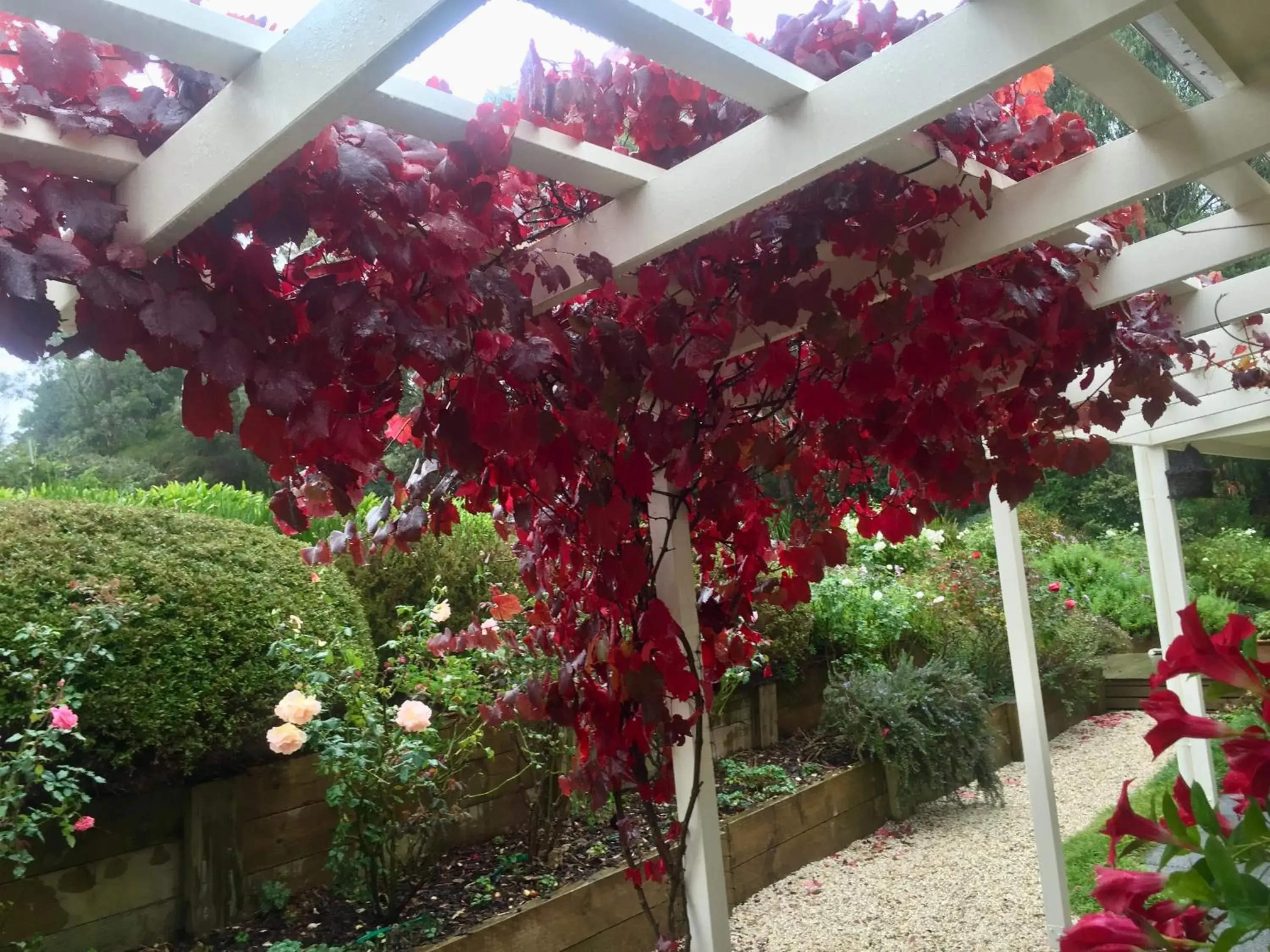 Two-Bedroom Suite in Llarrinda Bed & Breakfast Two-Bedroom Suite in Llarrinda Bed & Breakfast