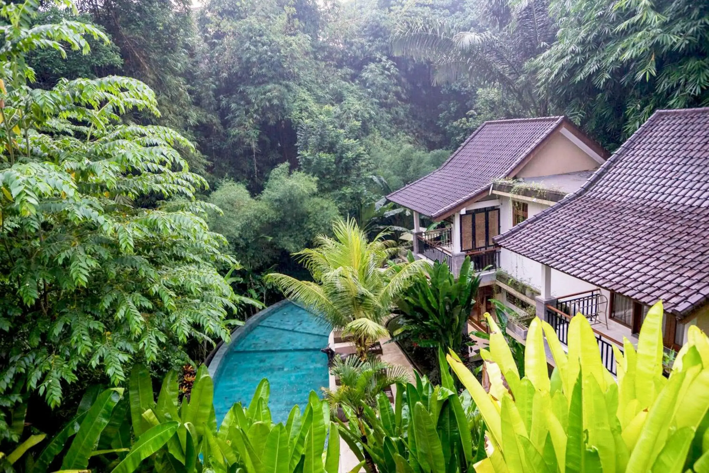 Jungle Haven Resort Central Ubud Jungle Haven Resort Central Ubud