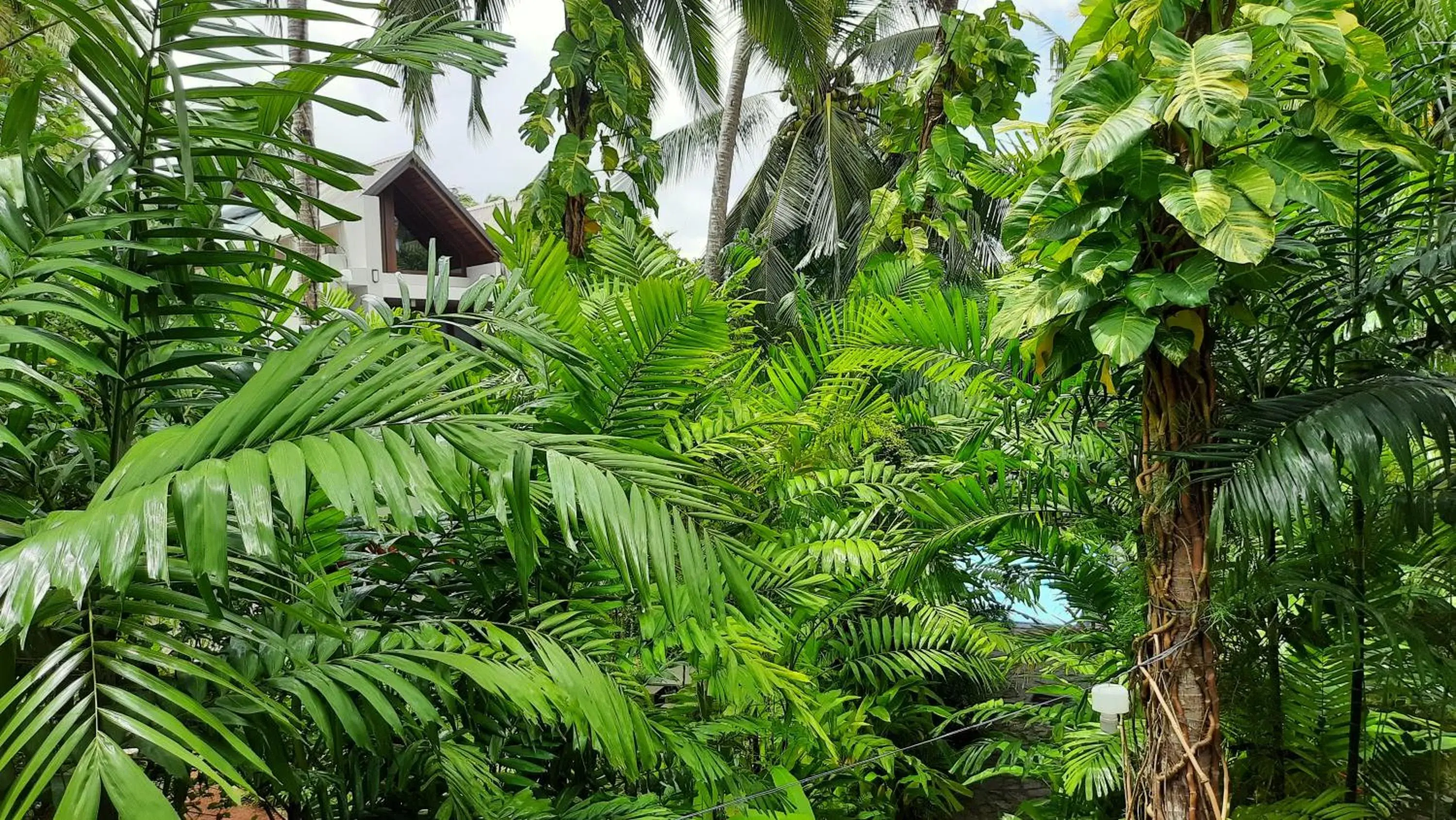 Apartment with Pool View in Nirmala Villa Apartment with Pool View in Nirmala Villa